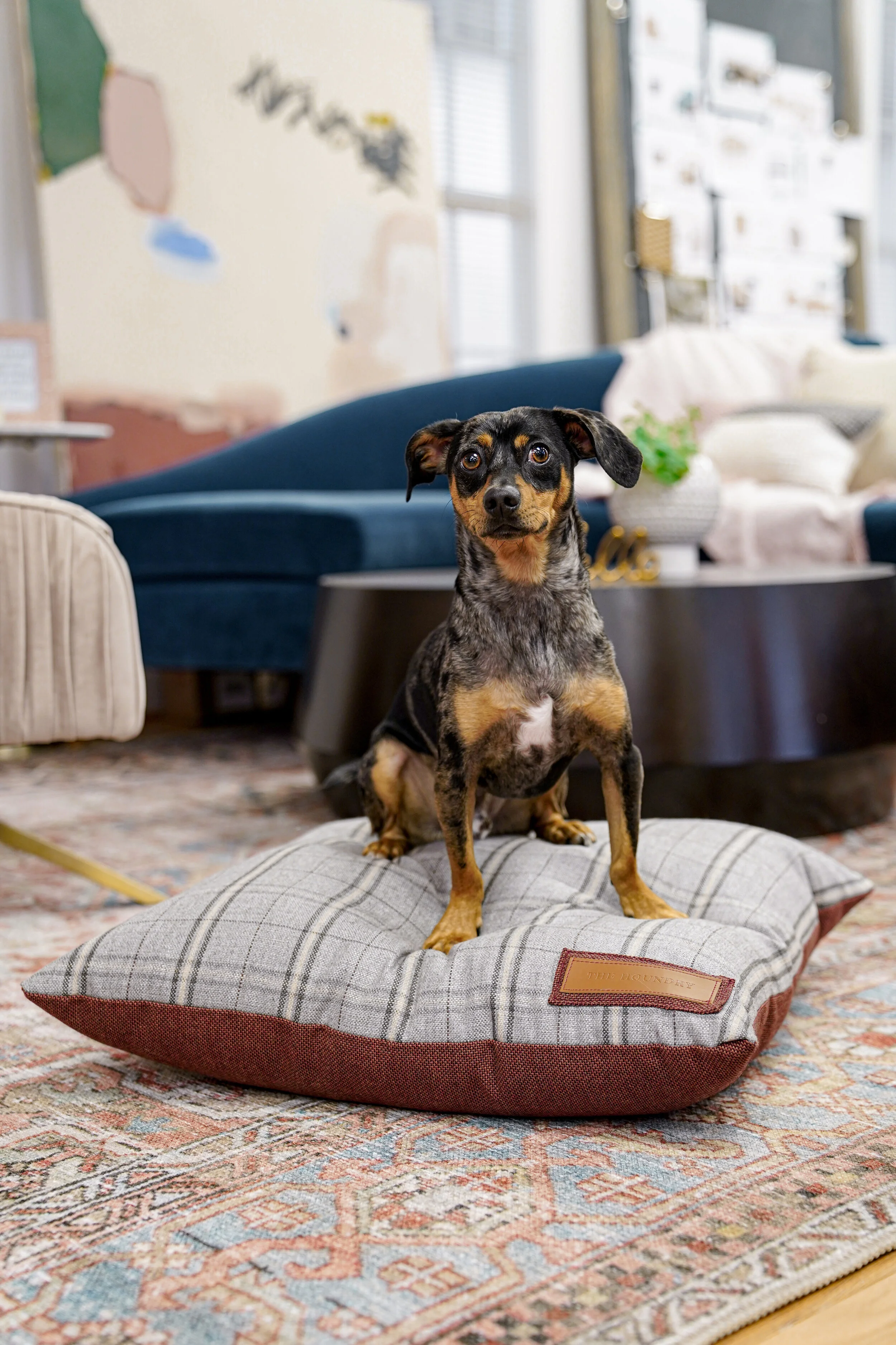 470006-Russet Rover-The Houndry Pet Beds-1.jpg