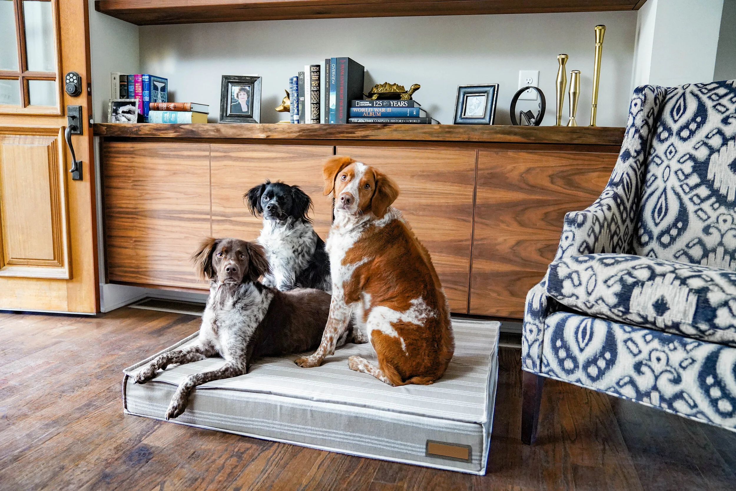 660004-Leased Linen-The Houndry Pet Beds-2.jpg