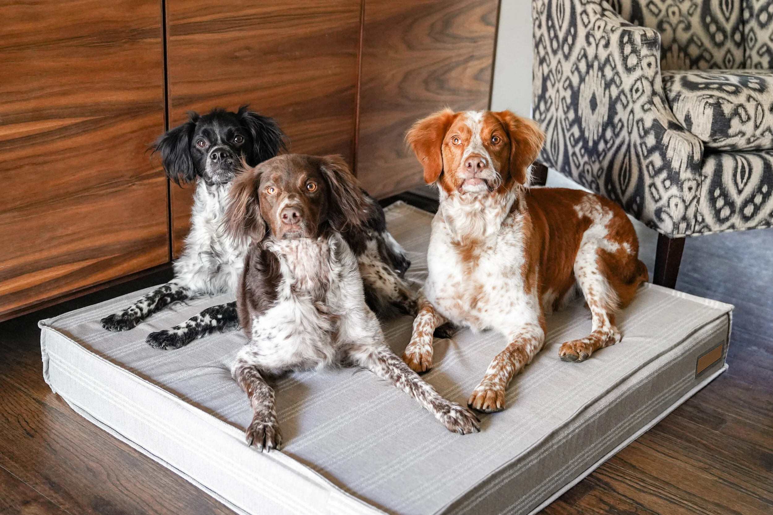 660004-Leased Linen-The Houndry Pet Beds-1.jpg