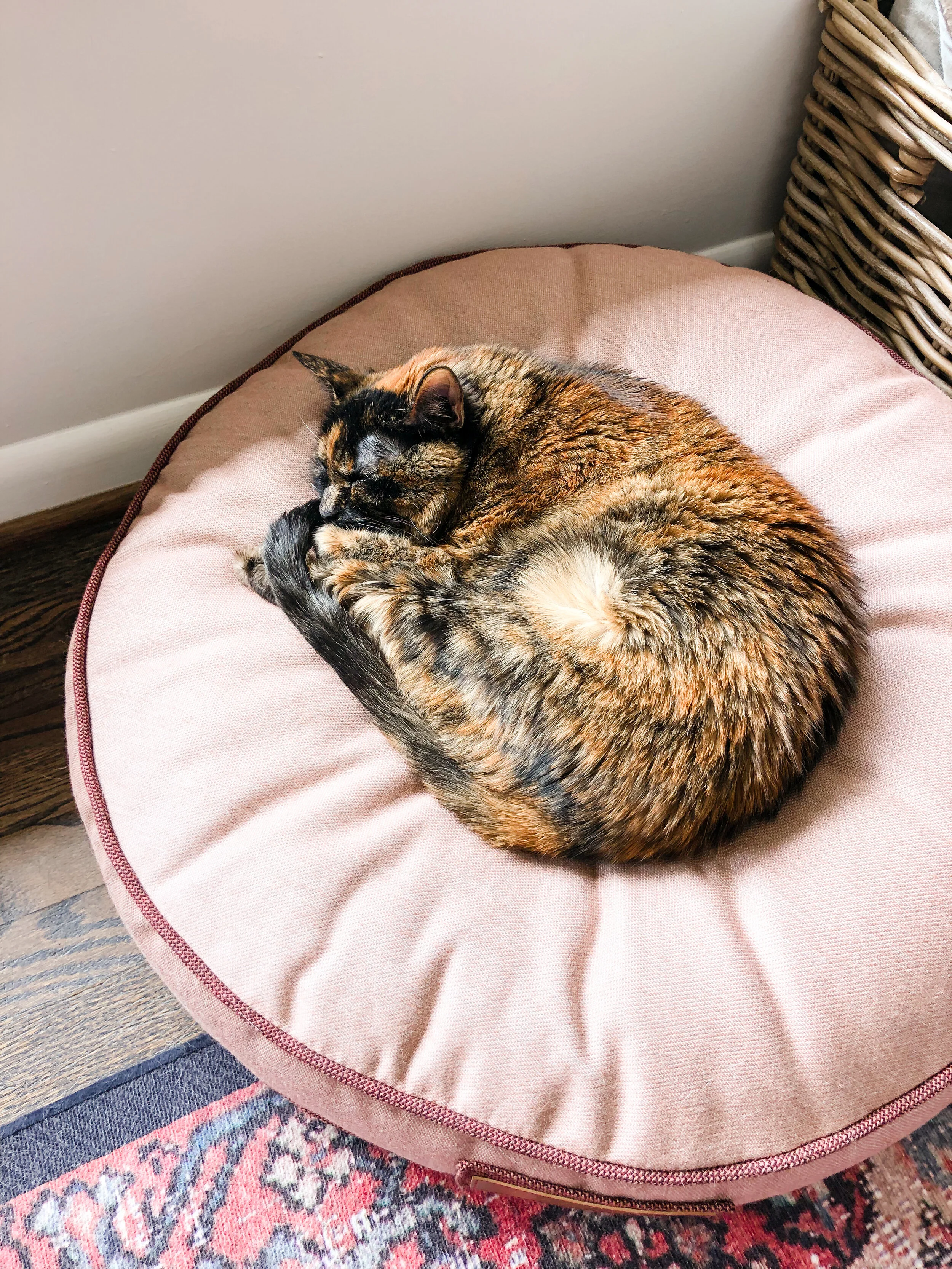 230015-Rosie Retriever-The Houndry Pet Beds-3.jpg