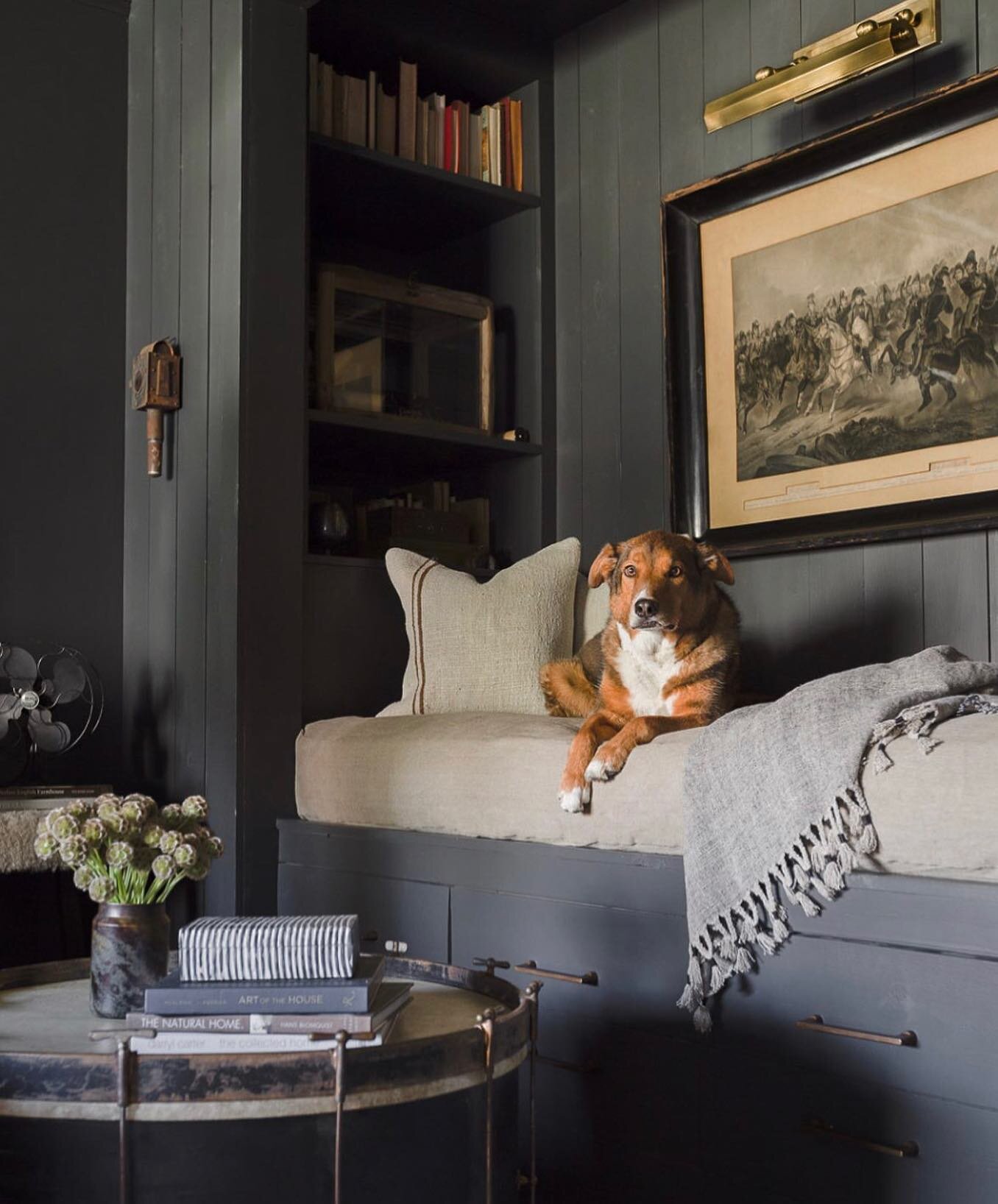All about this #moody vibe @seanandersondesign has going on in this cozy nook. Give me a beautiful design book and that adorable pup and I&rsquo;ll be here the rest of the afternoon. 
.
.
📸 @alyssarosenheck