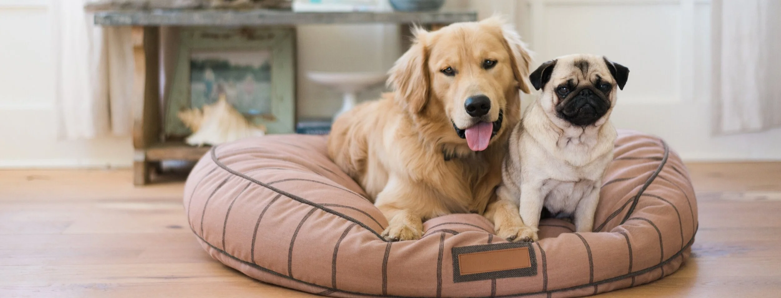 230019-Blushing+Basset-The+Houndry+Pet+Beds-1+2.jpg