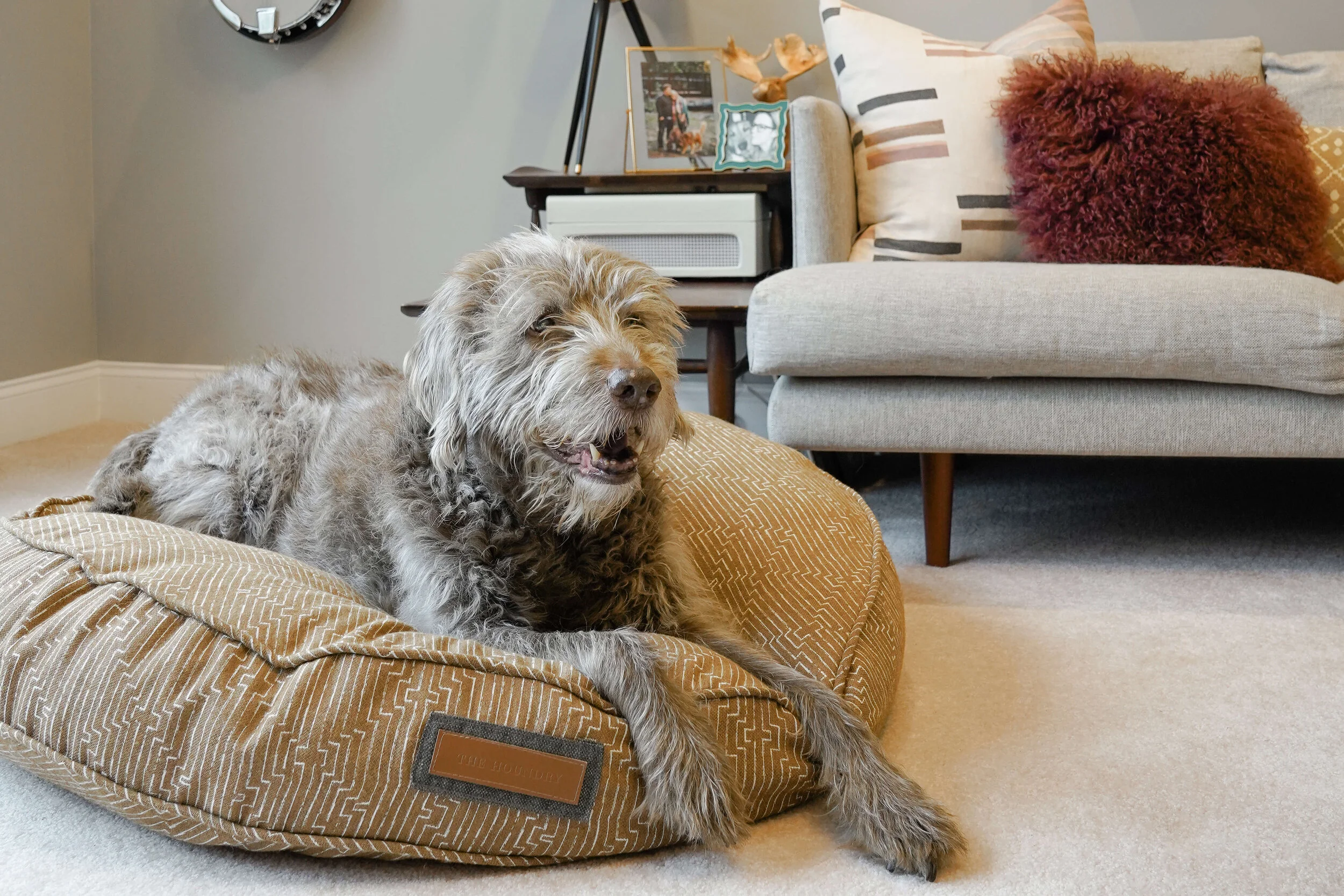 230029-Golden Doodle-The Houndry Pet Beds-4.jpg