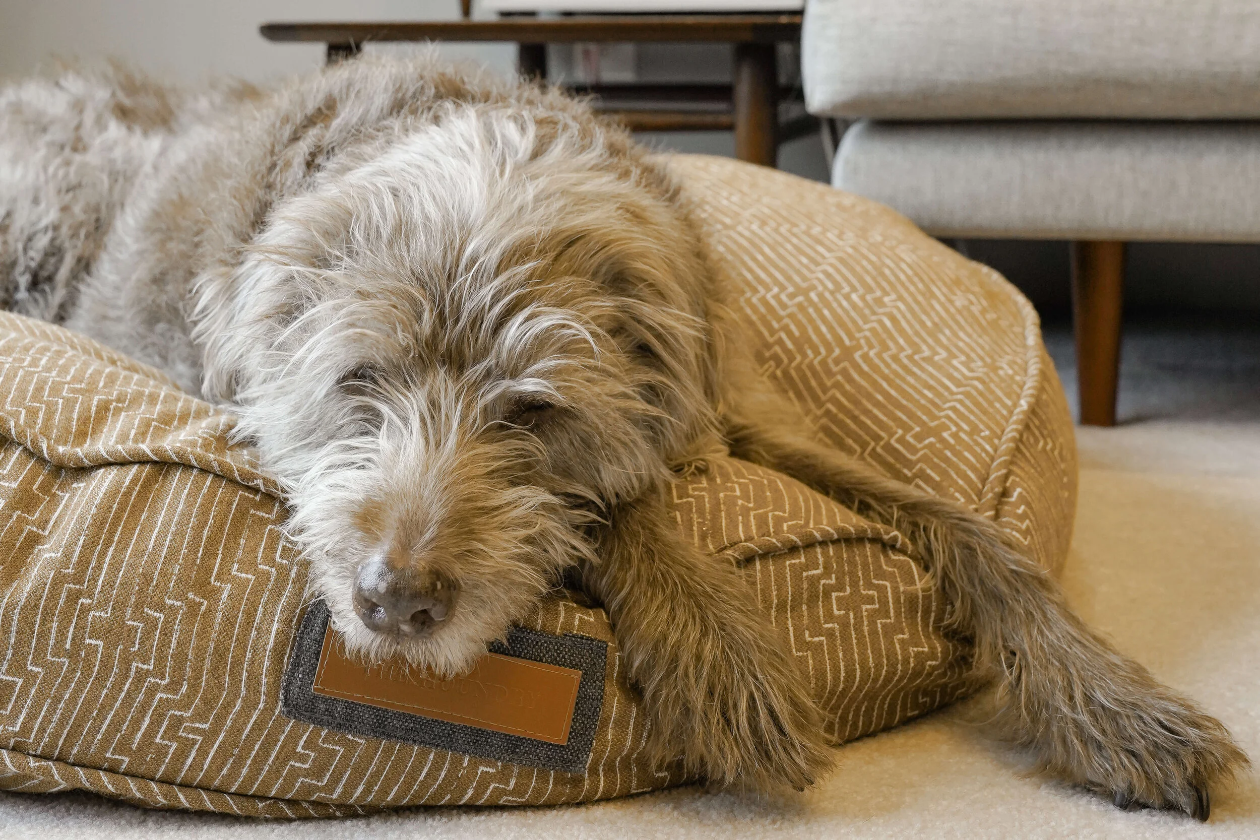230029-Golden Doodle-The Houndry Pet Beds-5.jpg