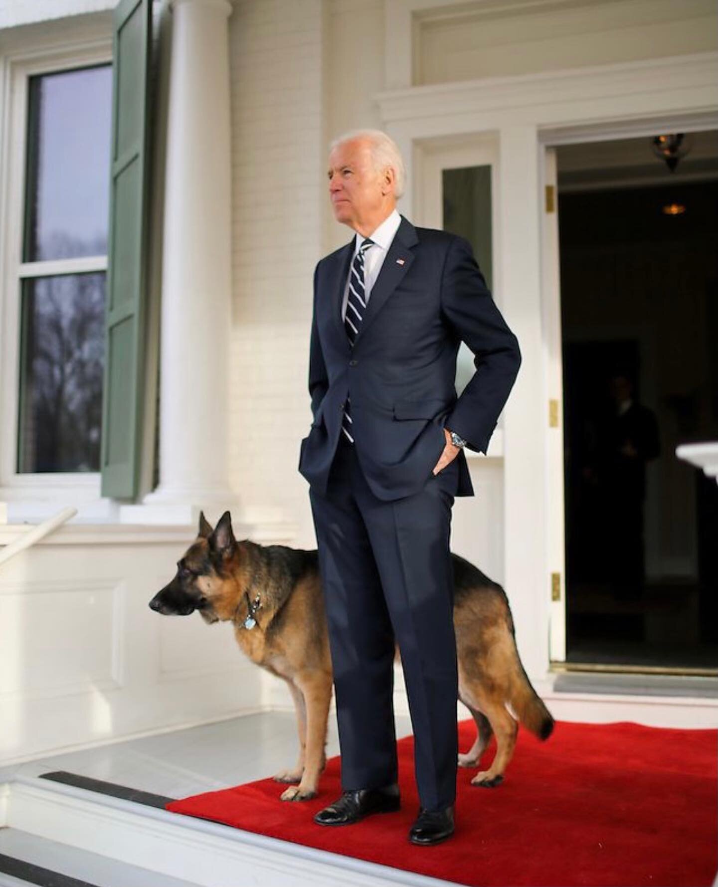 It&rsquo;s time to get a dog back in the White House. 🐶 Congratulations to President Elect @joebiden and @drbiden 🇺🇸 Let us know when you&rsquo;re ready to select your presidential dog beds for Champ and Major 🙌🏻