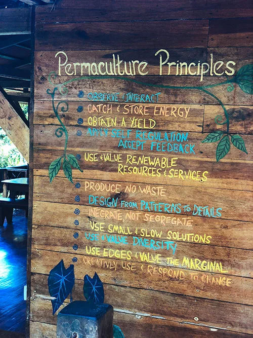 punta-mona-permaculture-principles.jpg