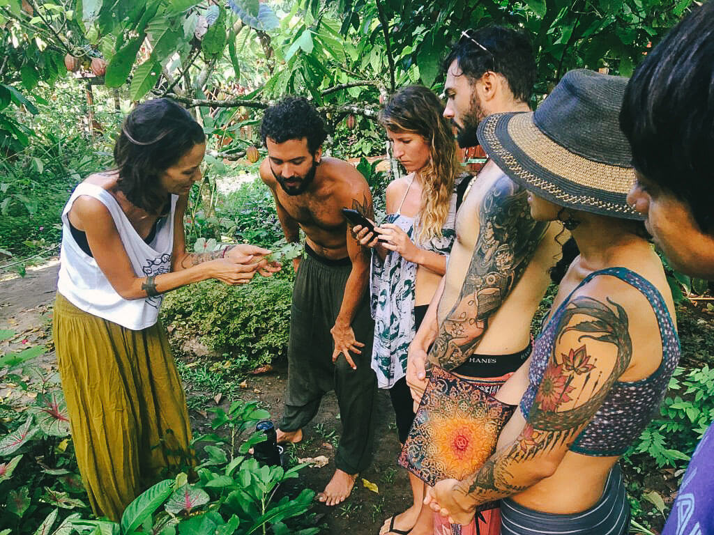 permaculture-herbalism-8.jpg