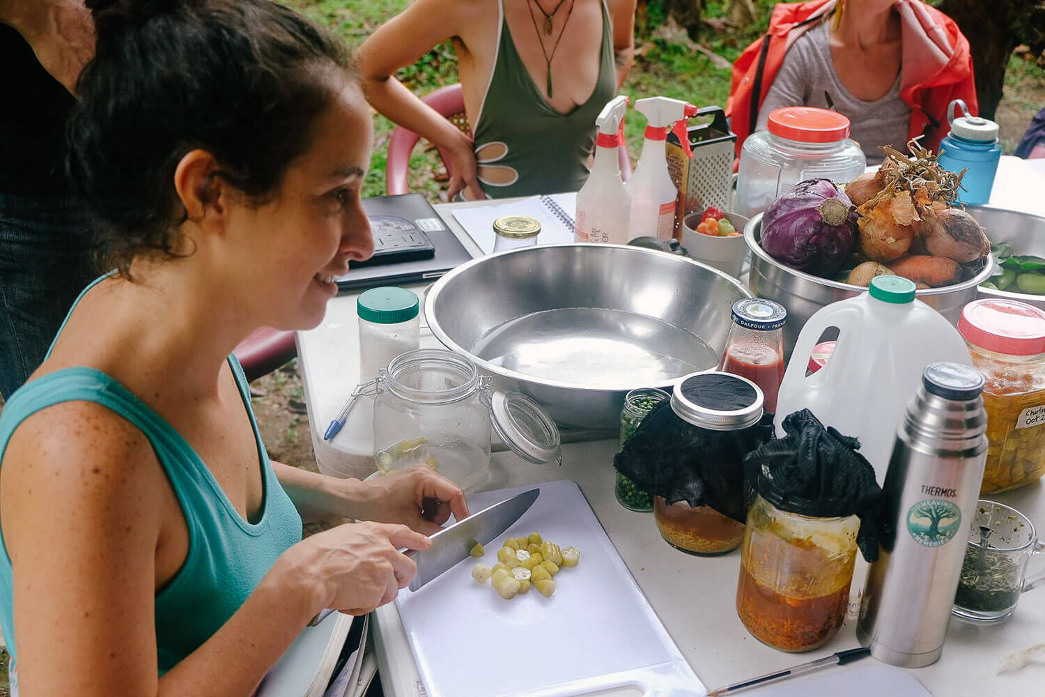 permaculture-herbalism-14.jpg