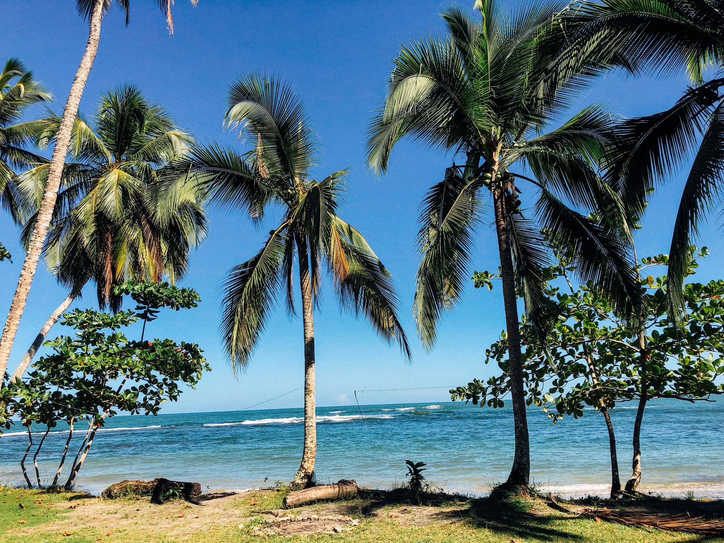 PuntaMonaBeachfront.jpg