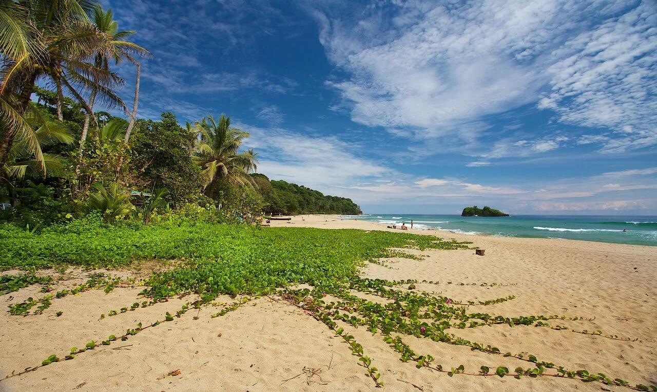 mpinto_green_sprawl_playa_cocles-Small.jpg
