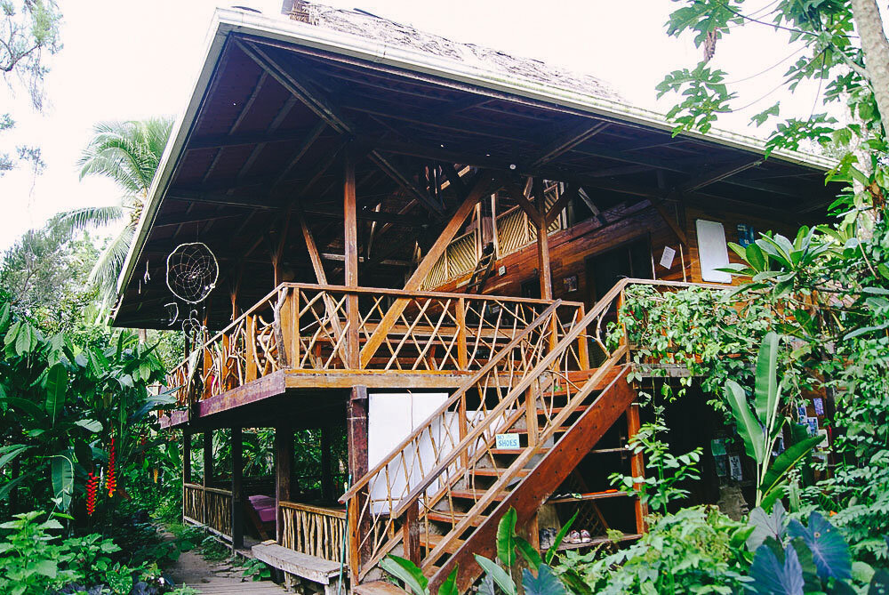 punta-mona-common.jpg