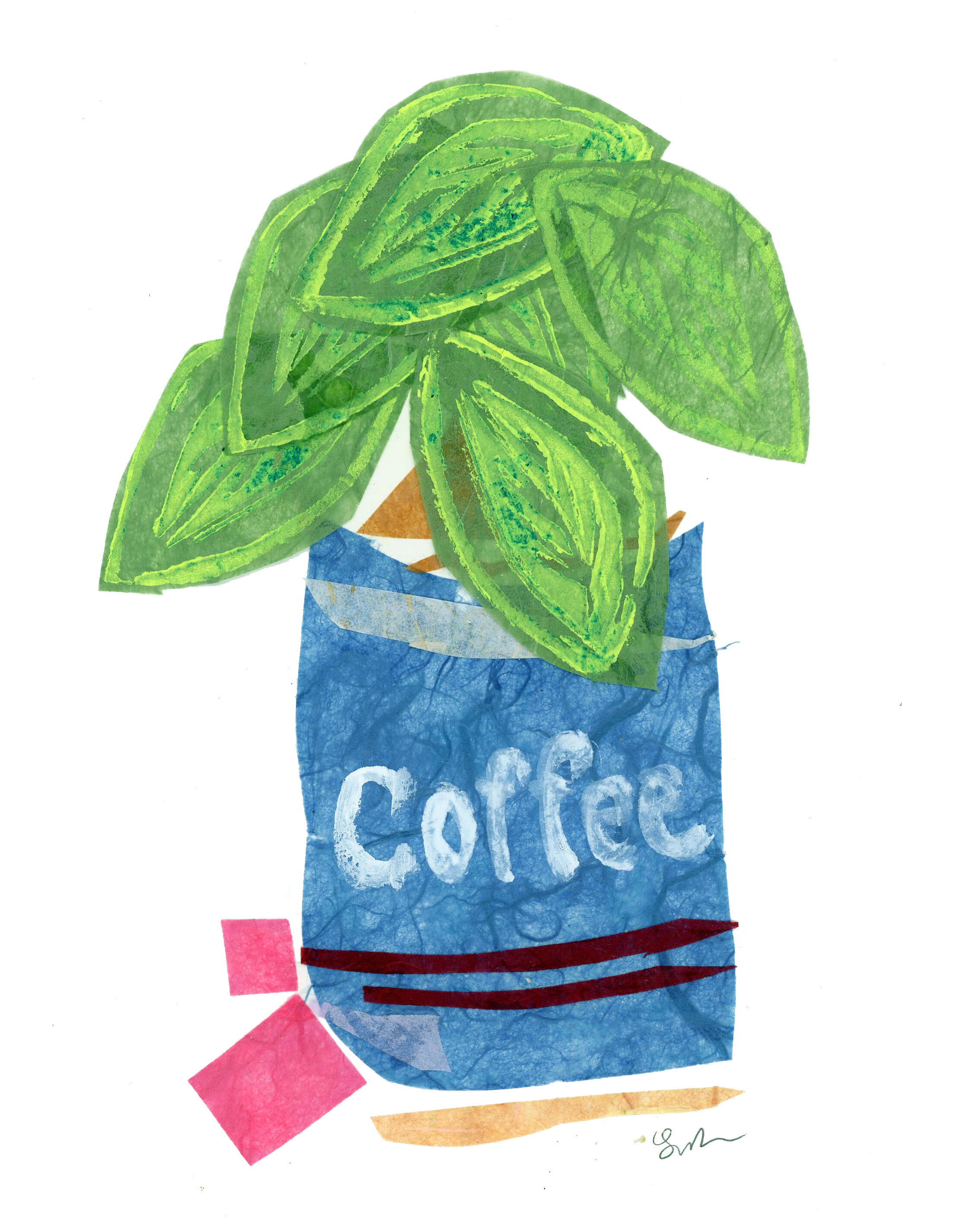 CoffeeTinPothos.jpg