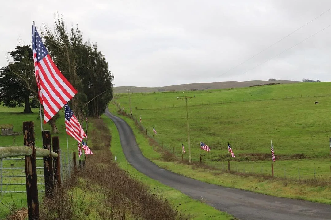 That flag lined driveway at @stemplecreek gives us the chills every time 🇺🇸Come see how special it is, and join us at our annual Veterans Day BBQ this Sunday, November 10th starting at 1pm! 🇺🇸
It's a fun day for the whole family with a delicious 