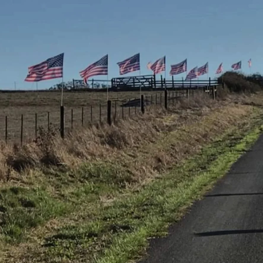 Home of the free, because of the brave 🇺🇲 Thank you to our Veterans who have served this great nation 🇺🇲
Please take a moment today and visit our website to browse through the submissions to our Veterans Day Honor Wall. We will continue accepting
