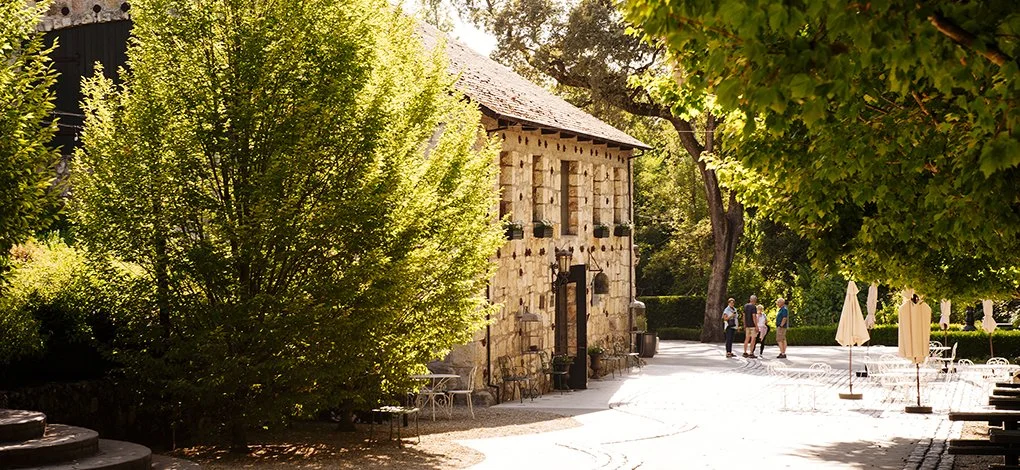 Evening Under The Stars 2026