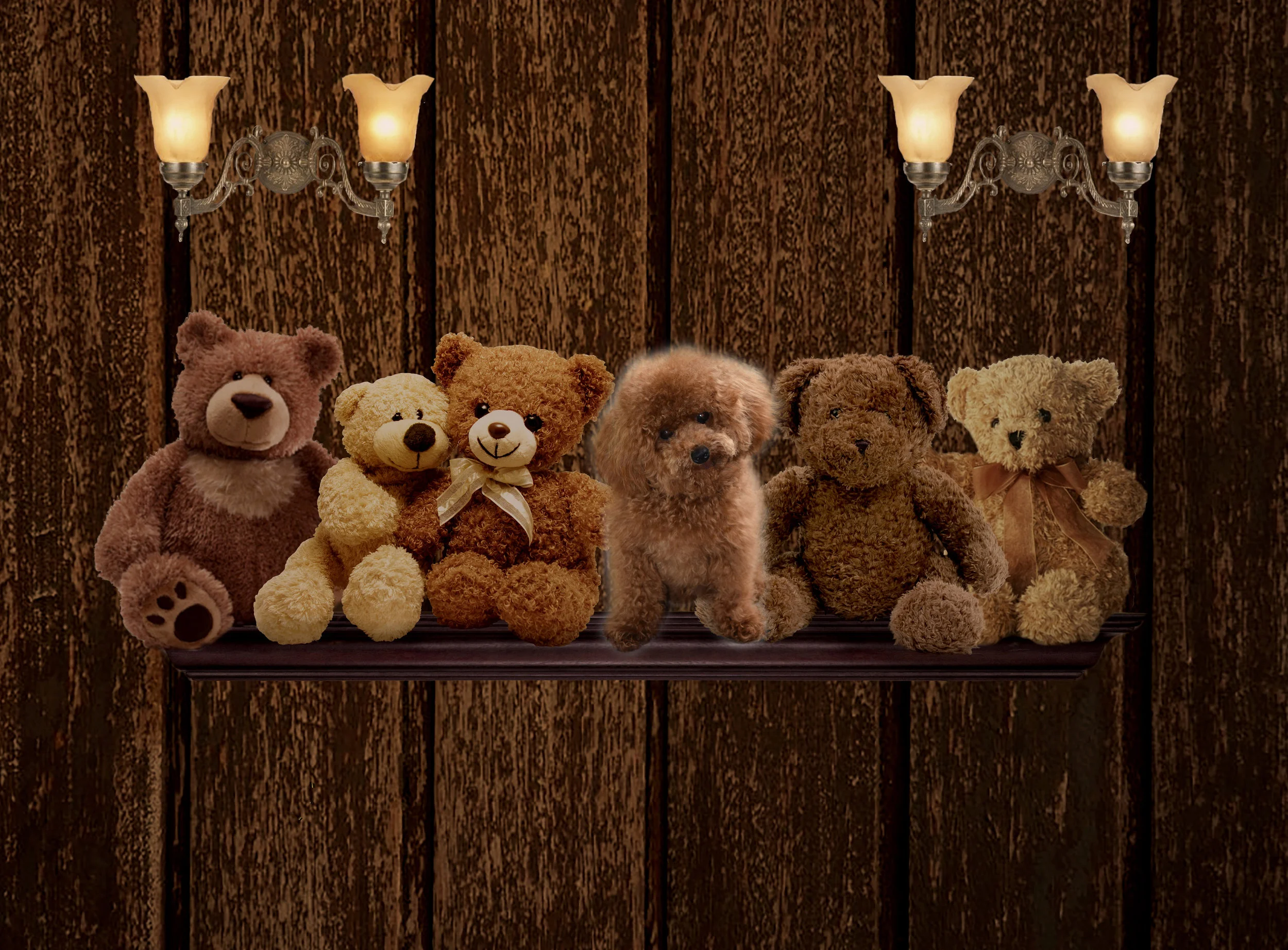 finding gizmo.jpg