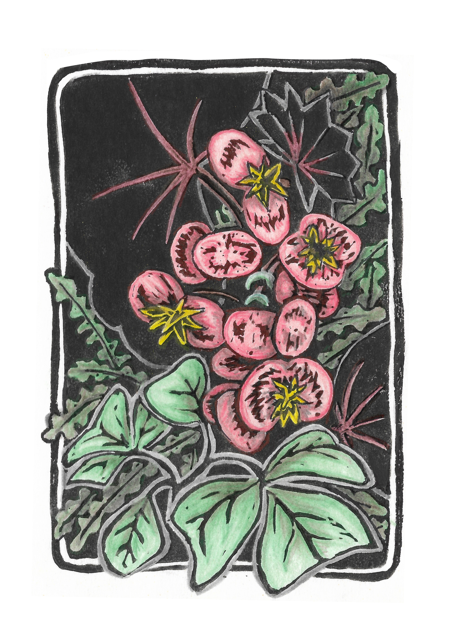 Machu Picchu begonias. Original artwork. All donations, regardless of amount, are appreciated. I will send a hand-written card printed with one of my original designs to express my gratitude for your support.