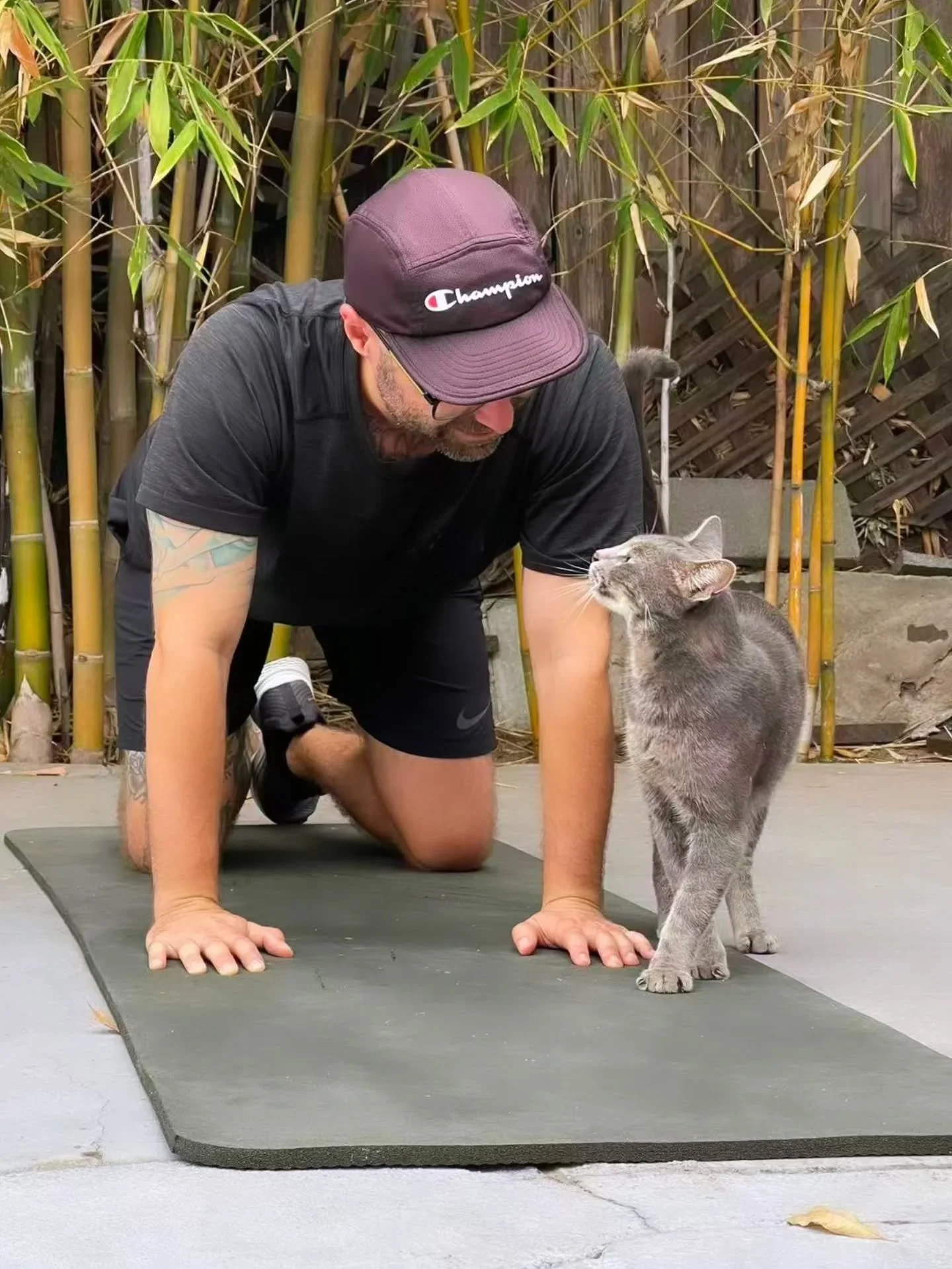 My stretching buddy, Dean 🐱 

⚠️WARNING: CUTE CAT⚠️ 
View this post at your own risk

📸: @lesleyzh0215