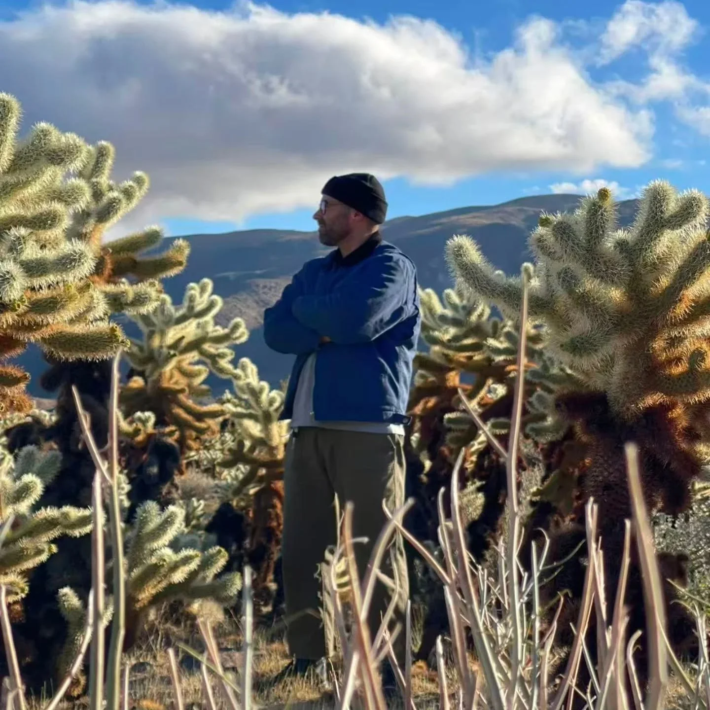 New Years Day in Joshua Tree pt.2