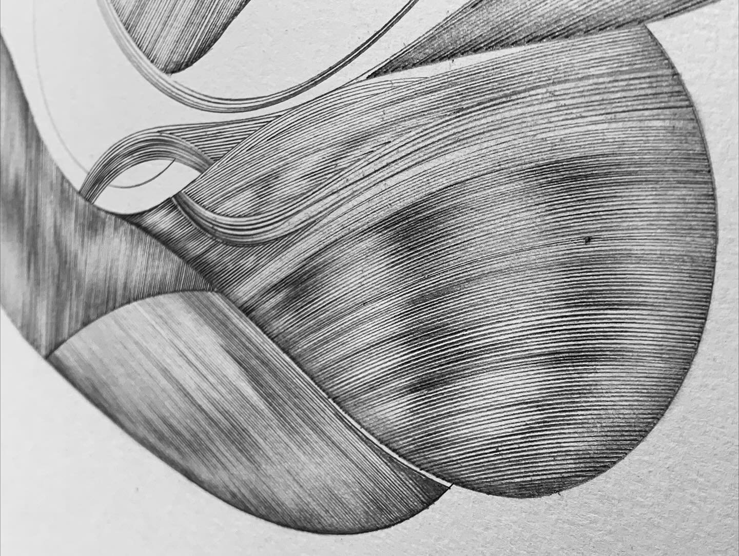 ✍🏽 latest heavy flowing waves. ✍🏽 

#drawing #movementpractice #rvaartist