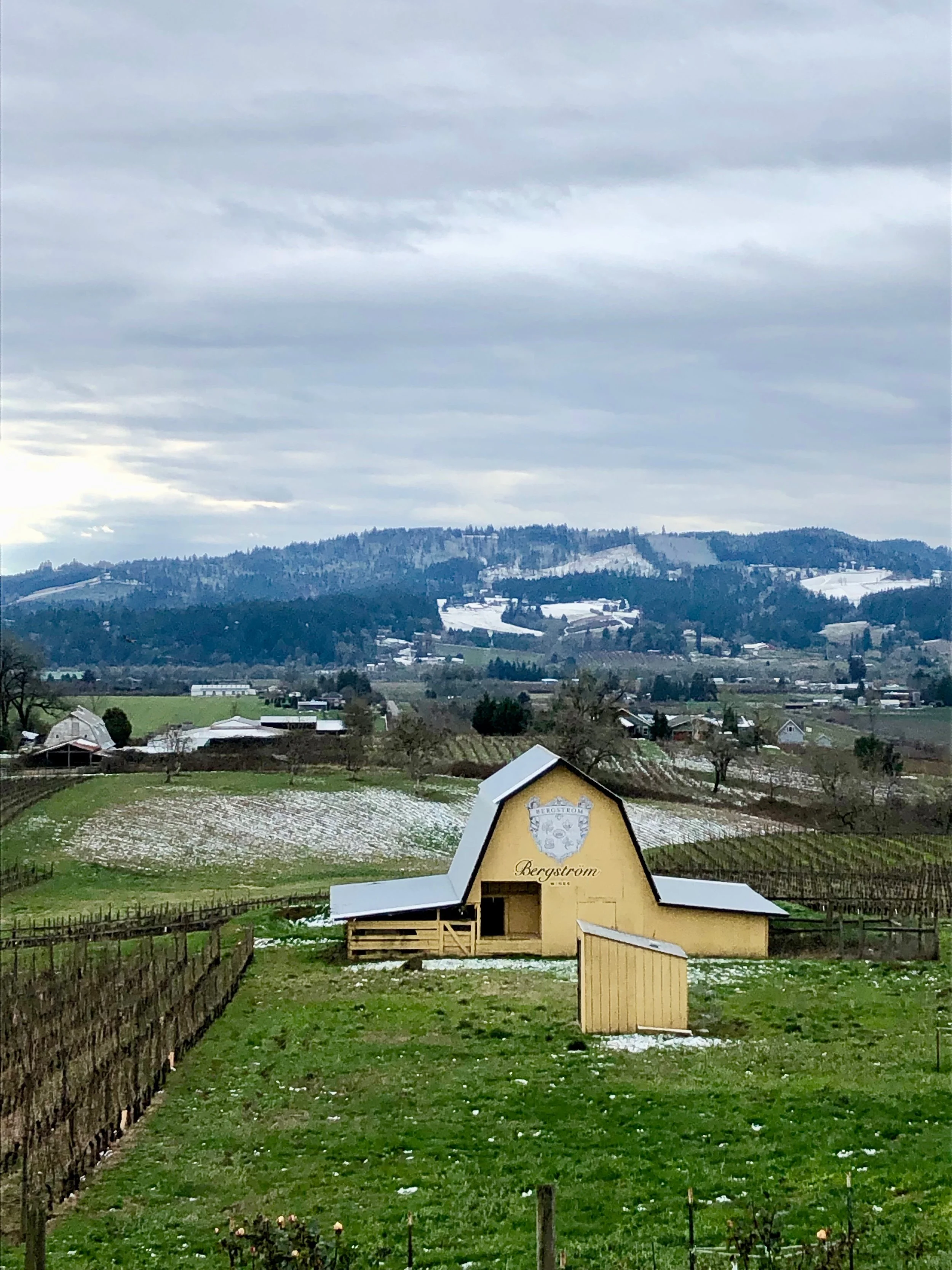 Bergstrom Wines , Photo: Noelani Zervas