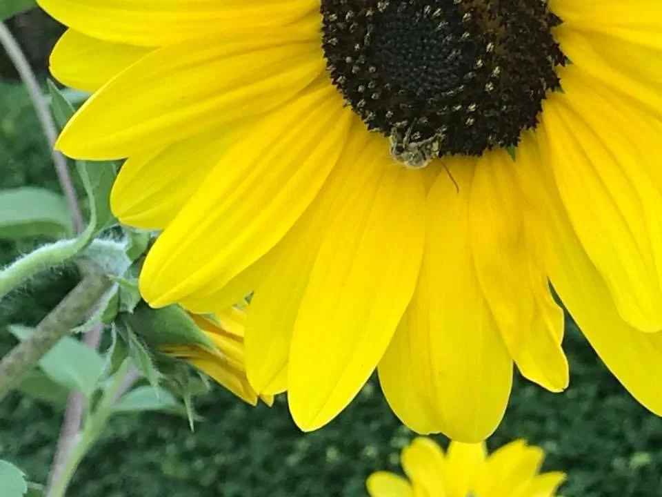 Organizing Every Day