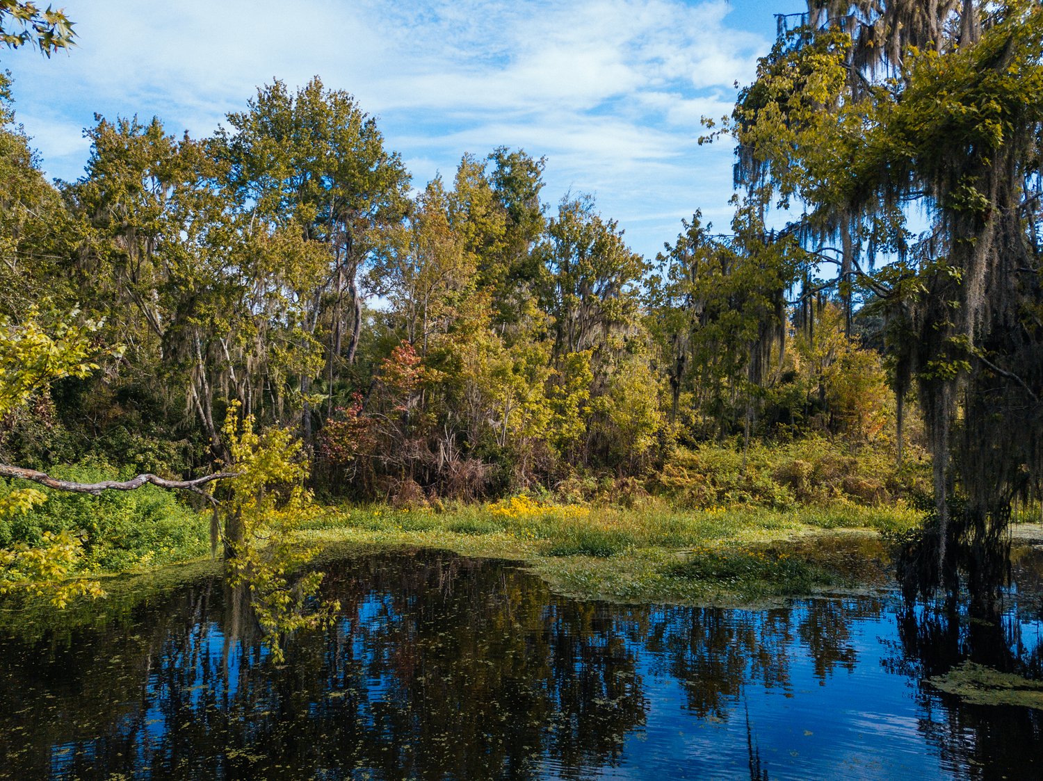 Nature areas near me