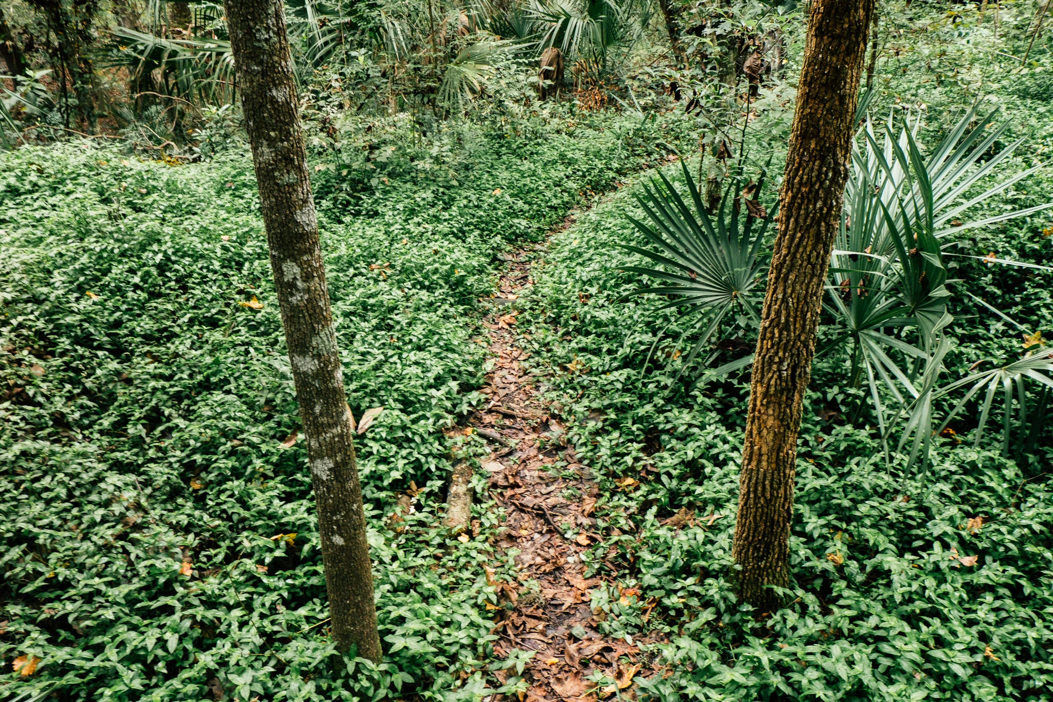 DSCF6094.jpg
