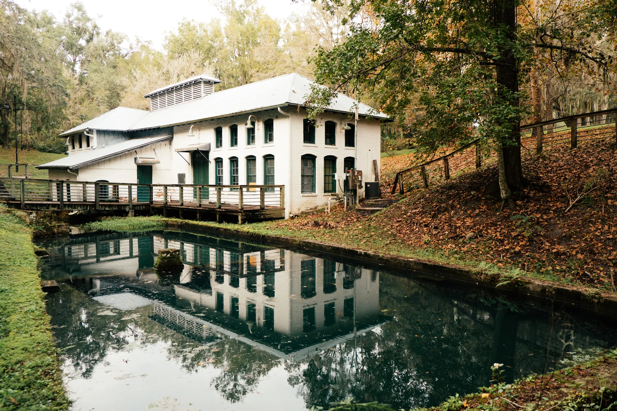 Boulware Springs-2.jpg
