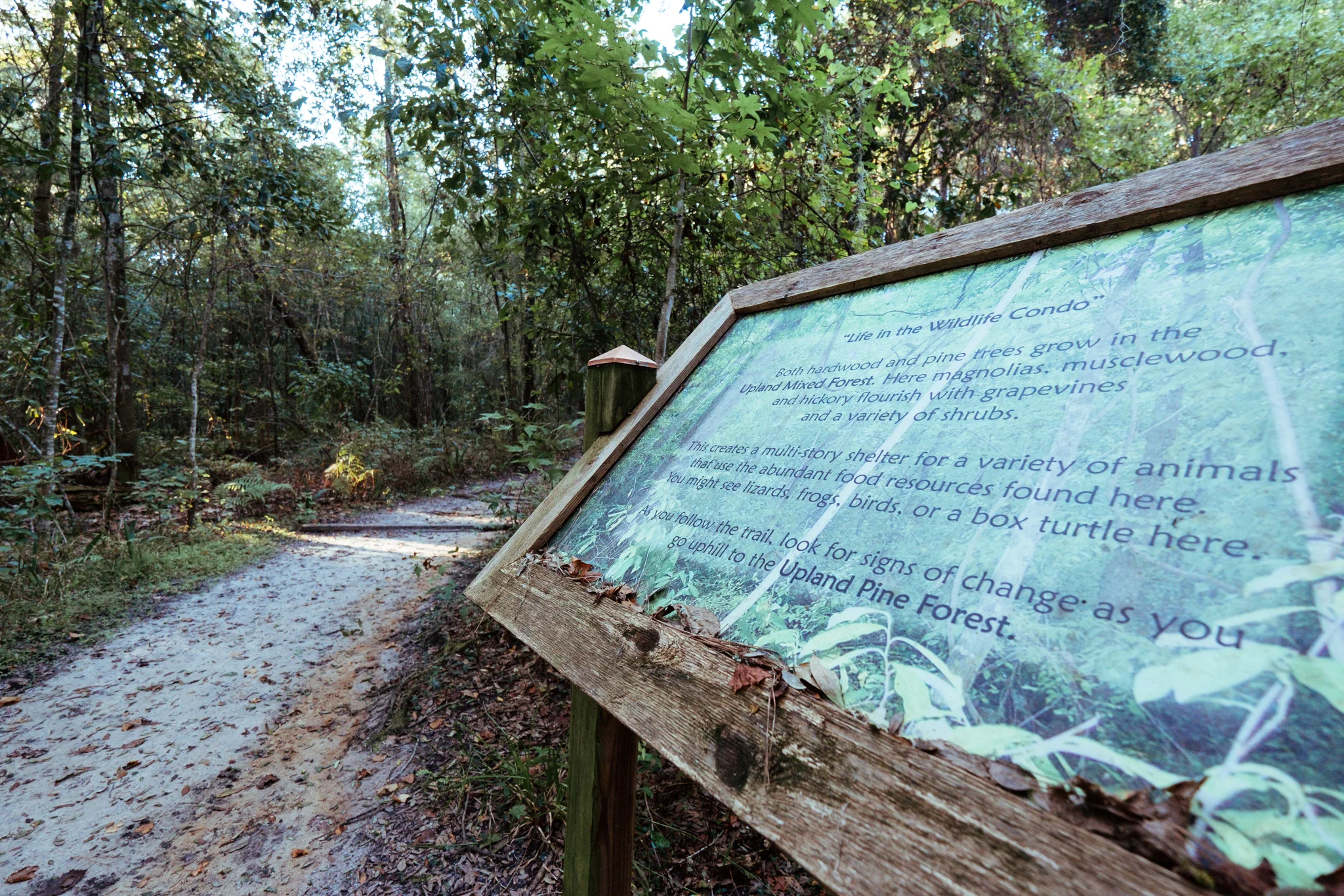 DSCF6213.jpg