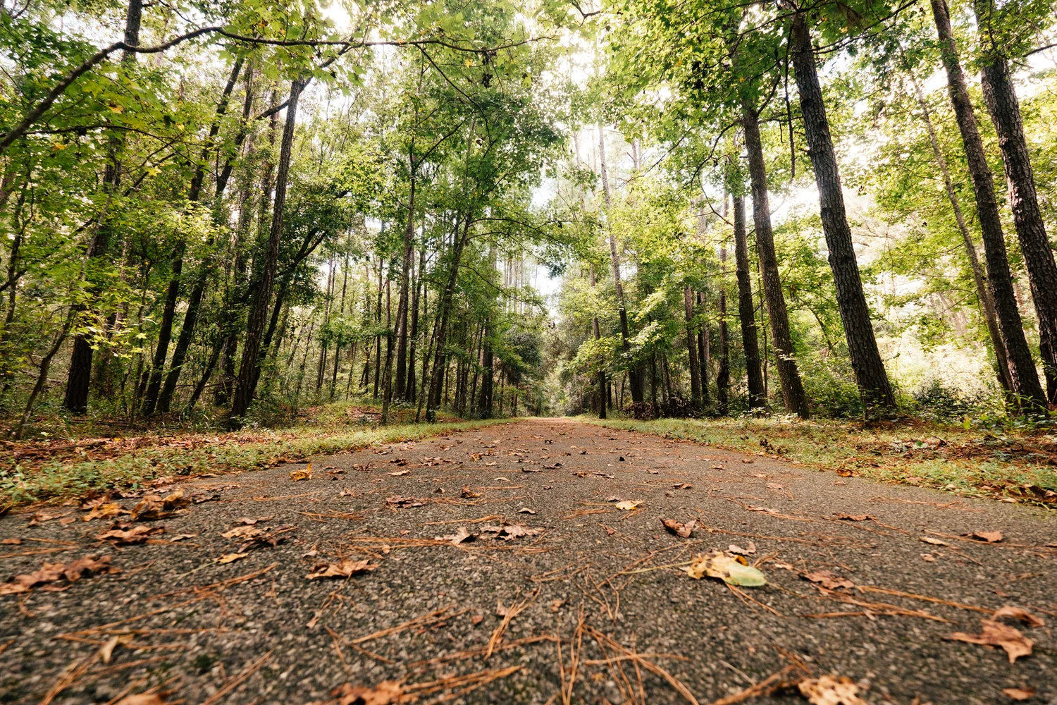 Field Trip Ideas Near Me for Fun and Learning