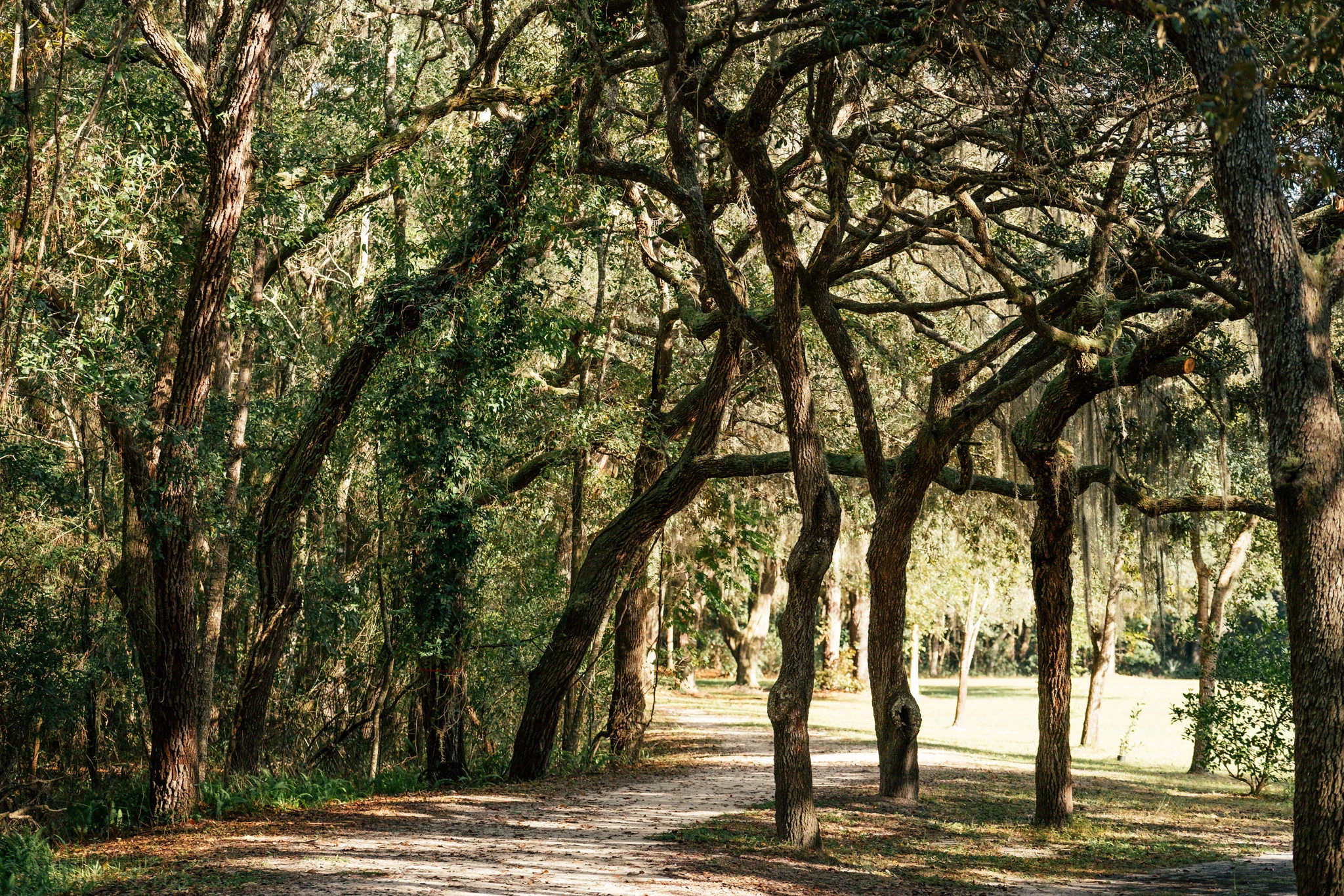 Green Acres-1.jpg