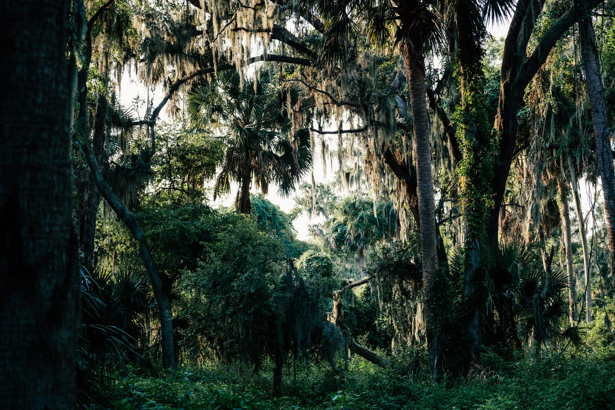 Palm Point-4.jpg