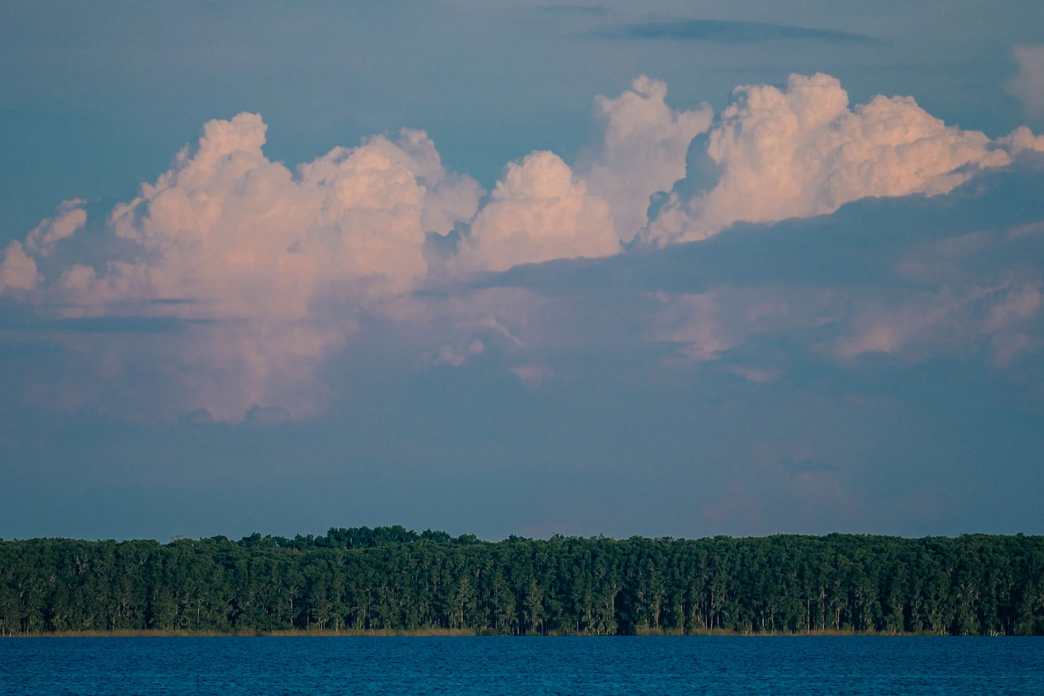 Palm Point-8.jpg
