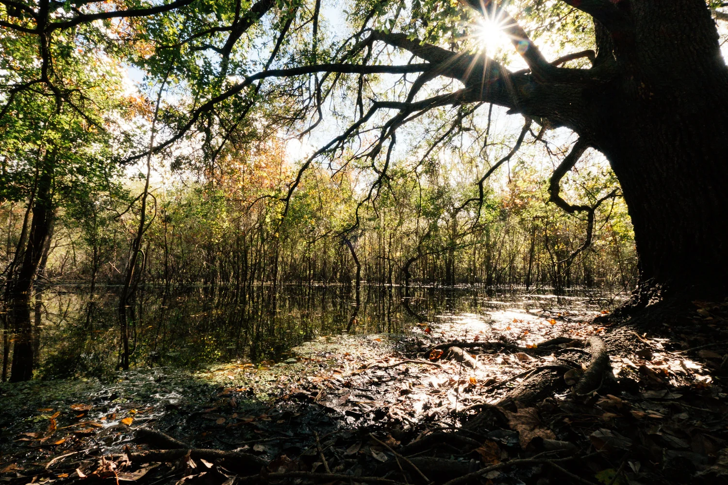 Split Rock — Friends of Nature Parks