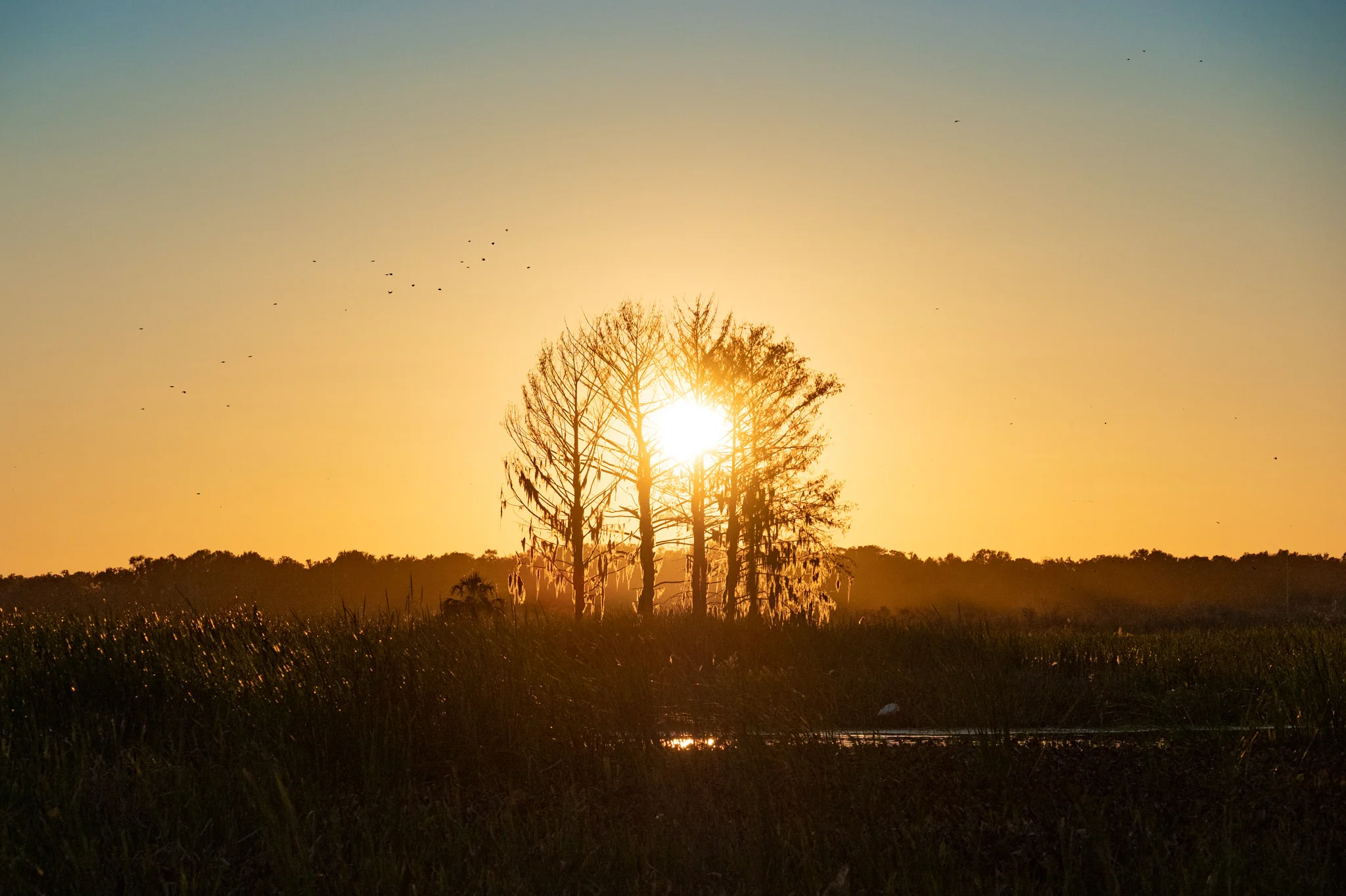 Sweetwater-9.jpg