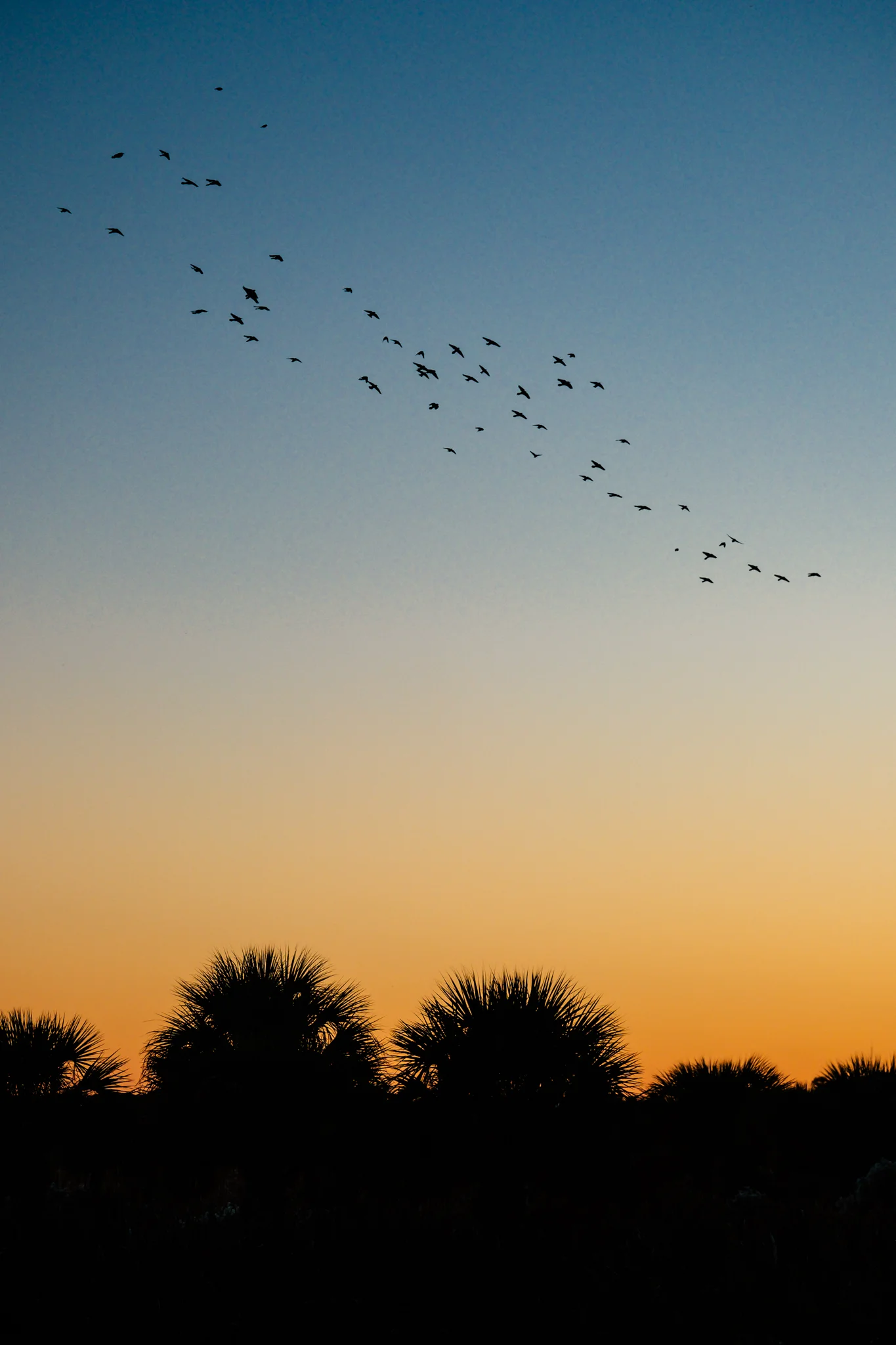 DSCF8711-2.jpg