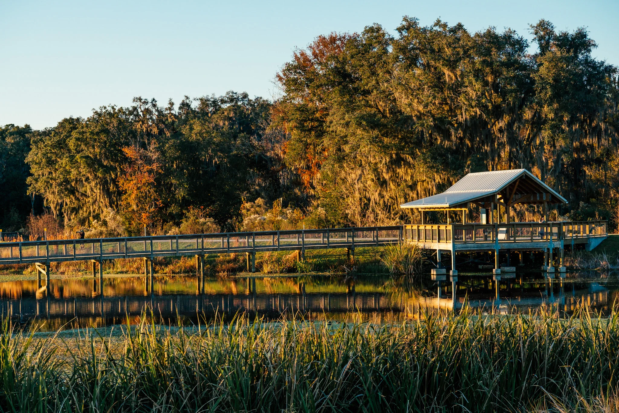 Sweetwater-8.jpg