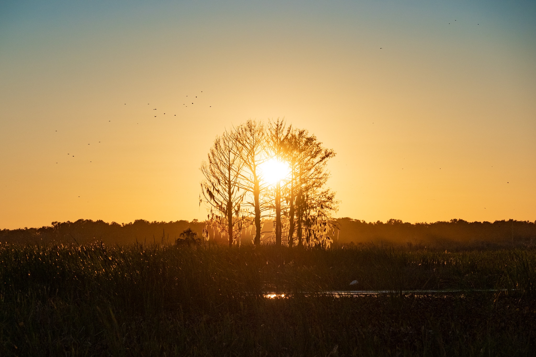 Sweetwater-9.jpg