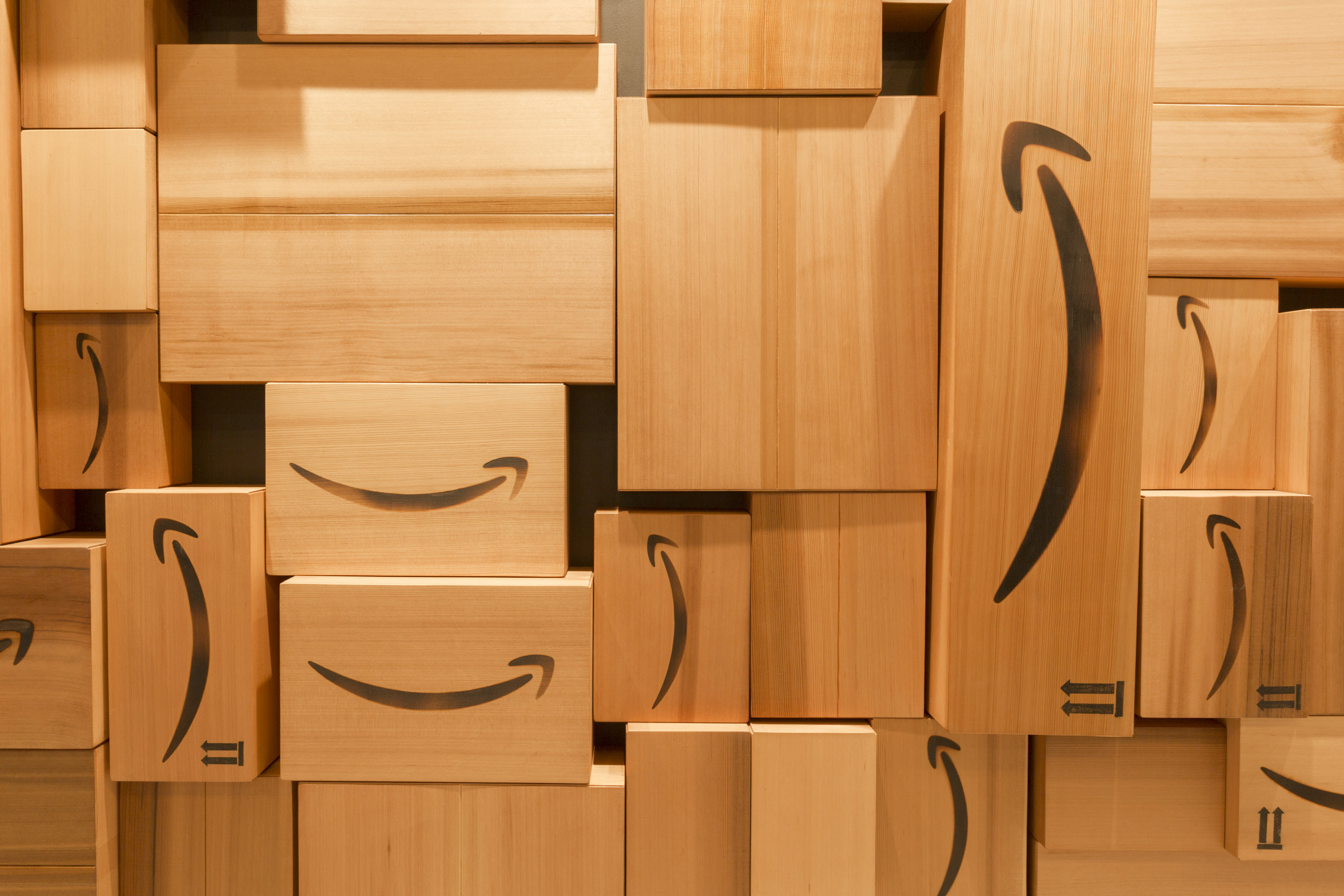 Amazon Boxes â Electric Coffin