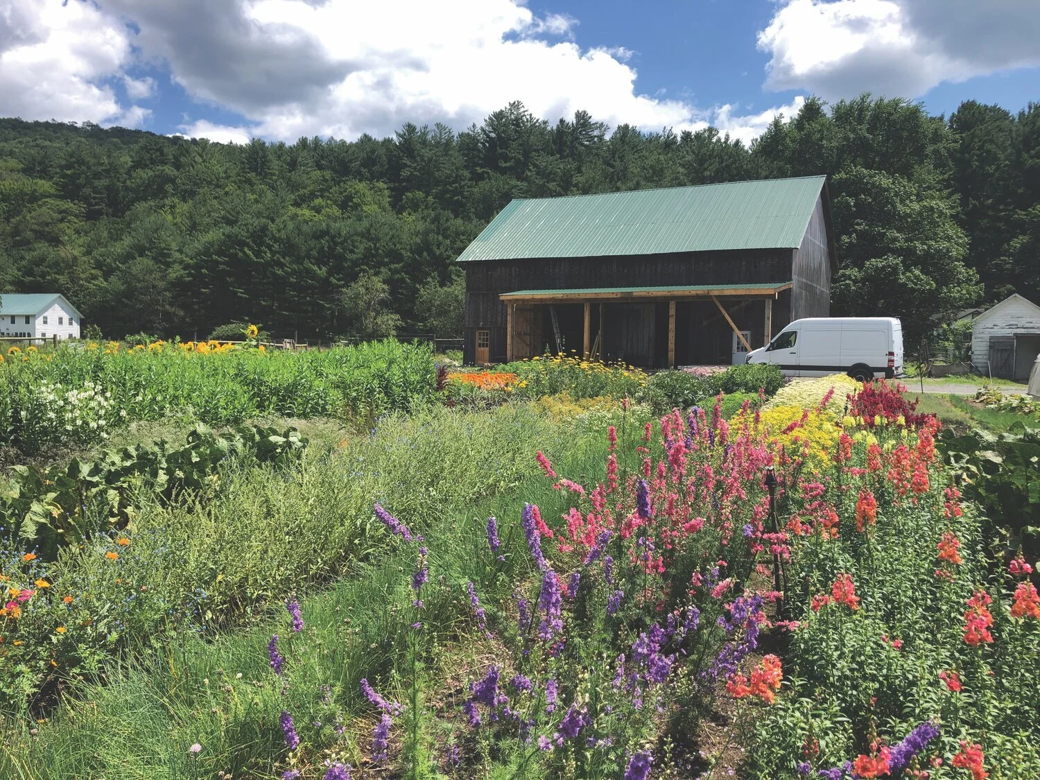 The Little Farm That Could