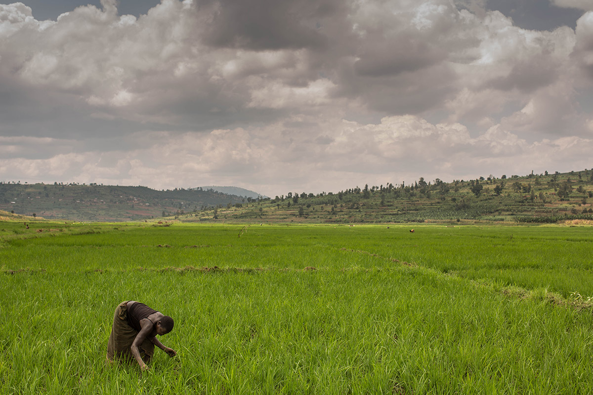 Rwanda-51.jpg