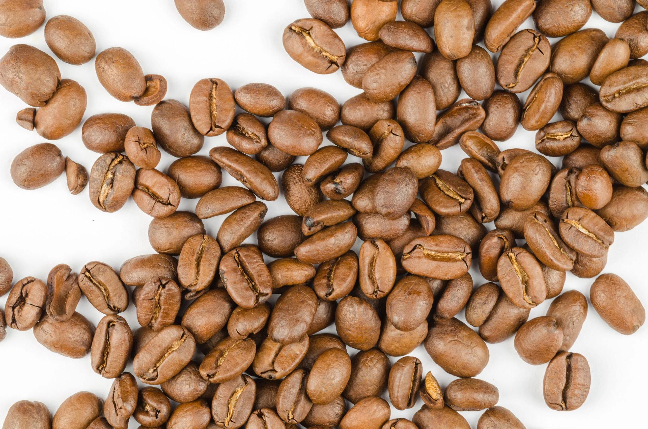 NutraStat_Mocha_Coffee.jpg