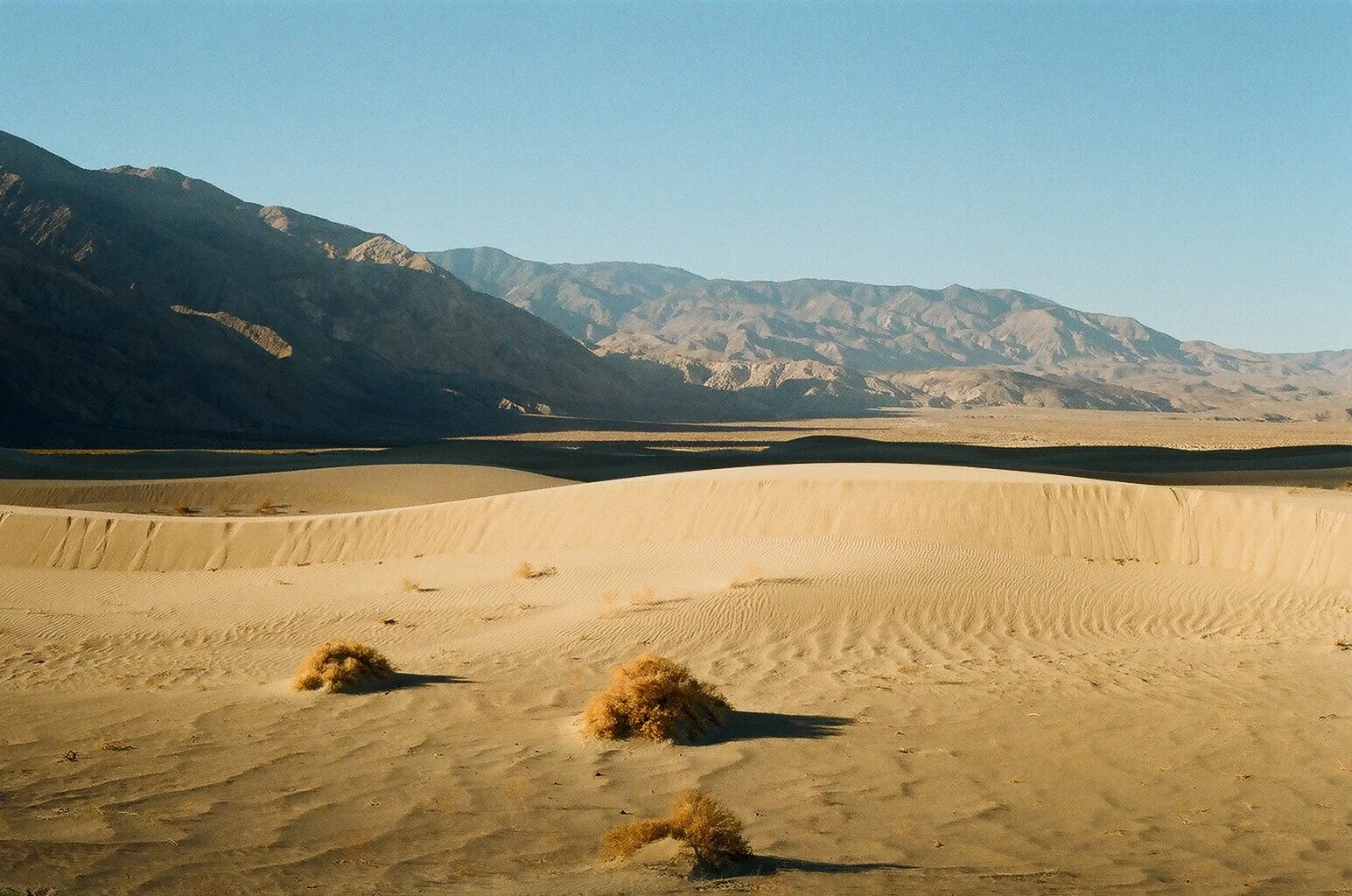 41420008.JPG