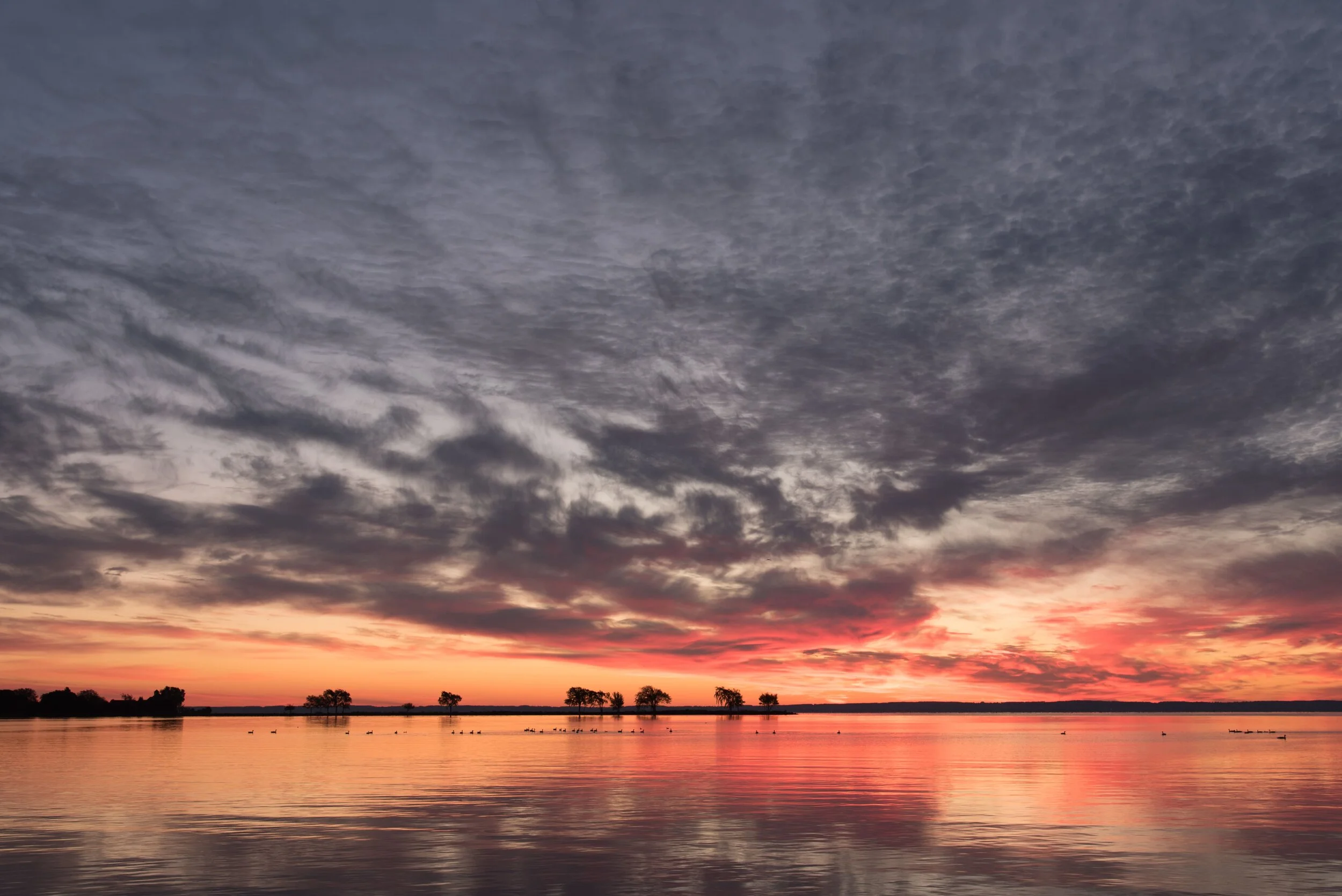Health Care Credit Union Sunrise.jpg