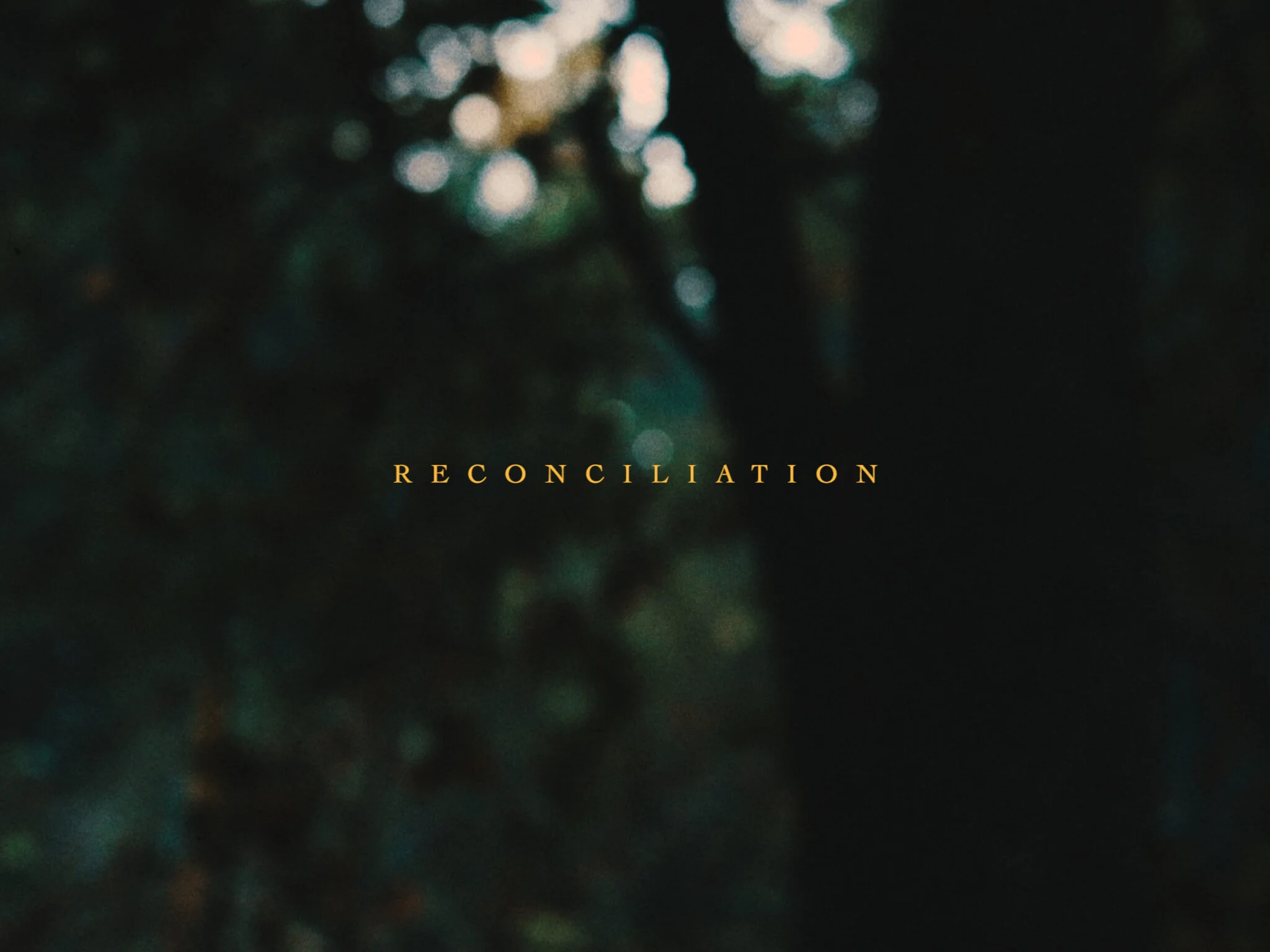 Sequence 02 Copy 01.00_00_05_21.Still020.jpg