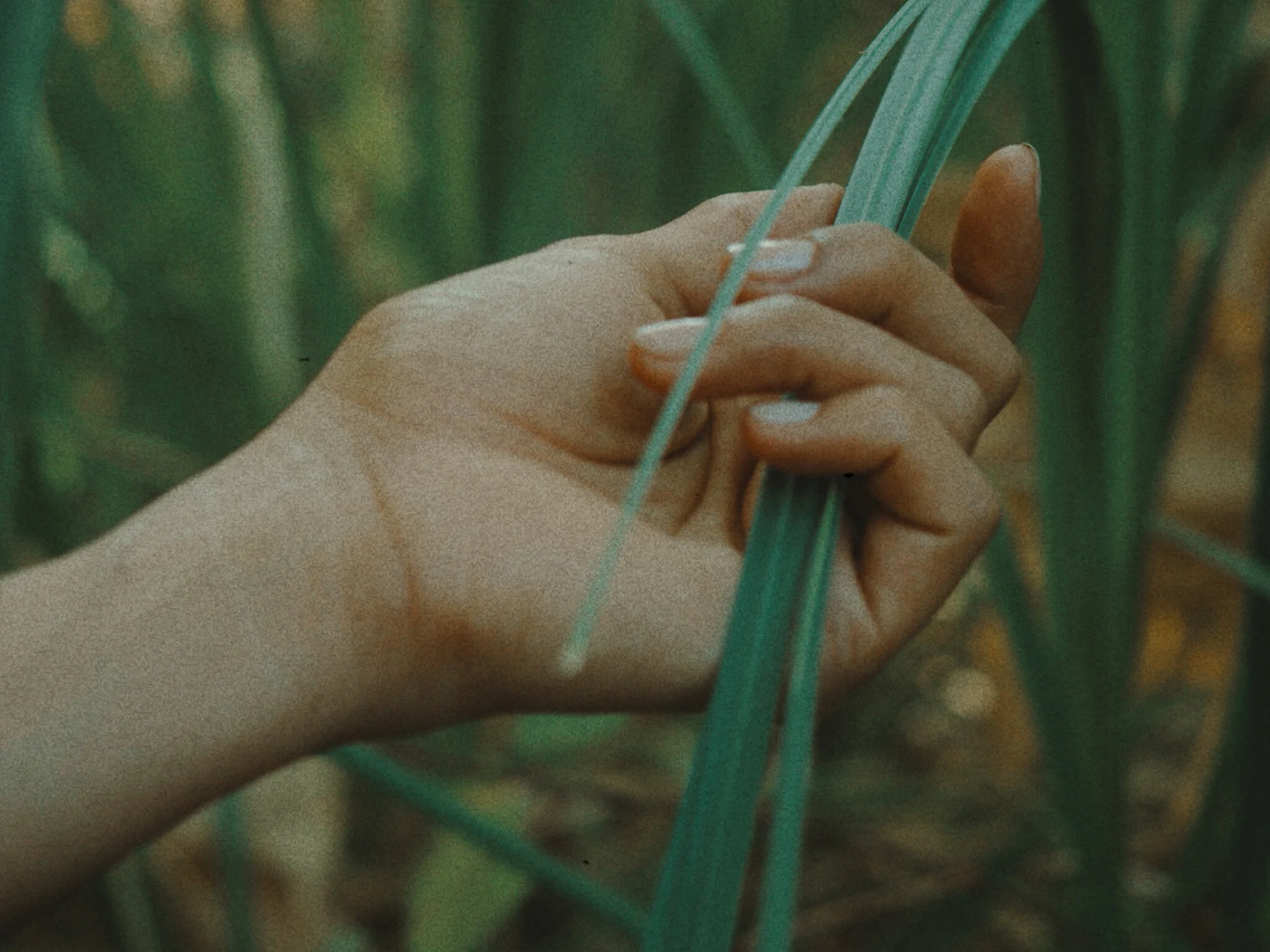 Sequence 02 Copy 01.00_02_18_16.Still019.jpg