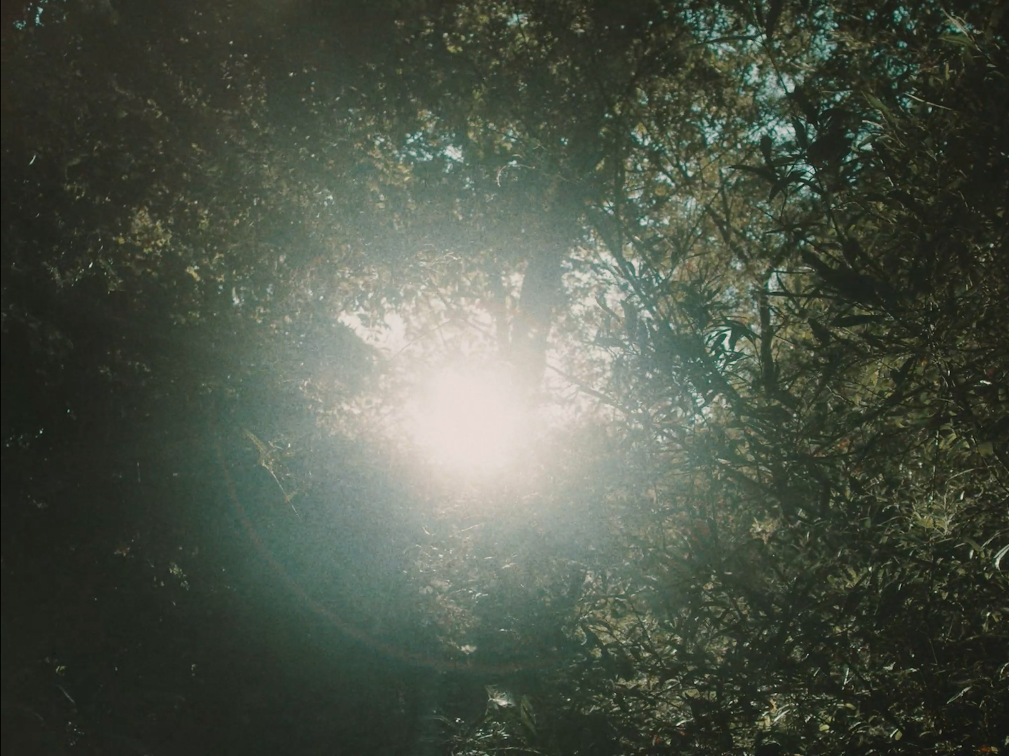 Screen Shot 2020-09-28 at 9.54.03 PM.png