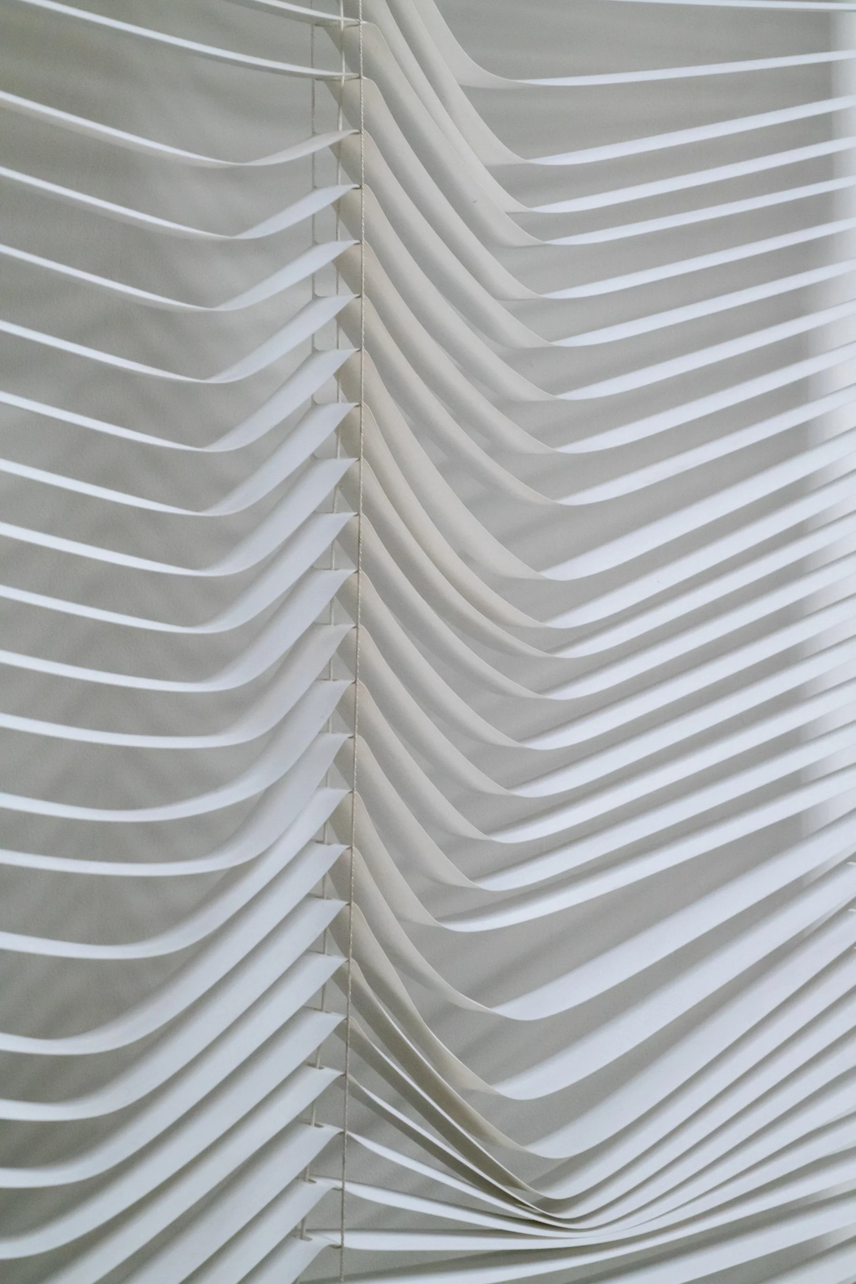 Blinds Detail 1.jpg