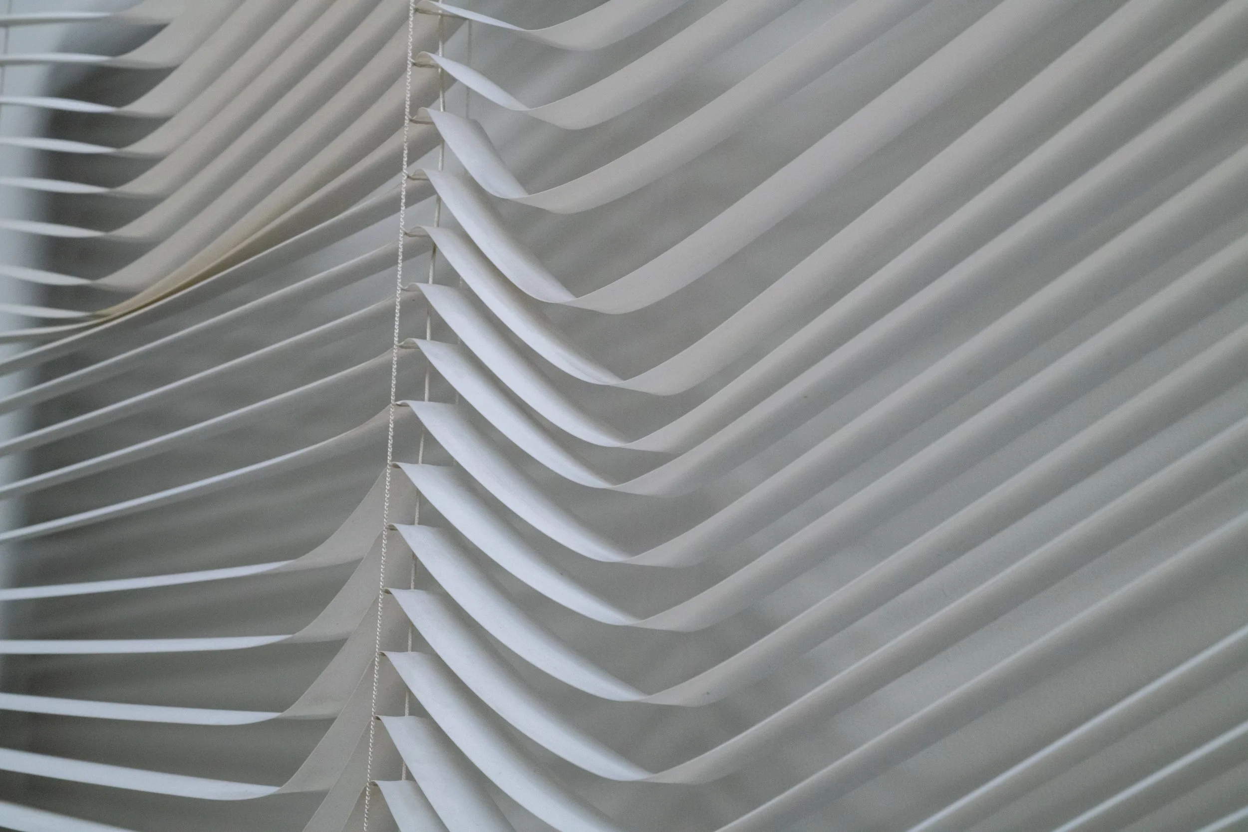 Blinds Detail 5.jpg